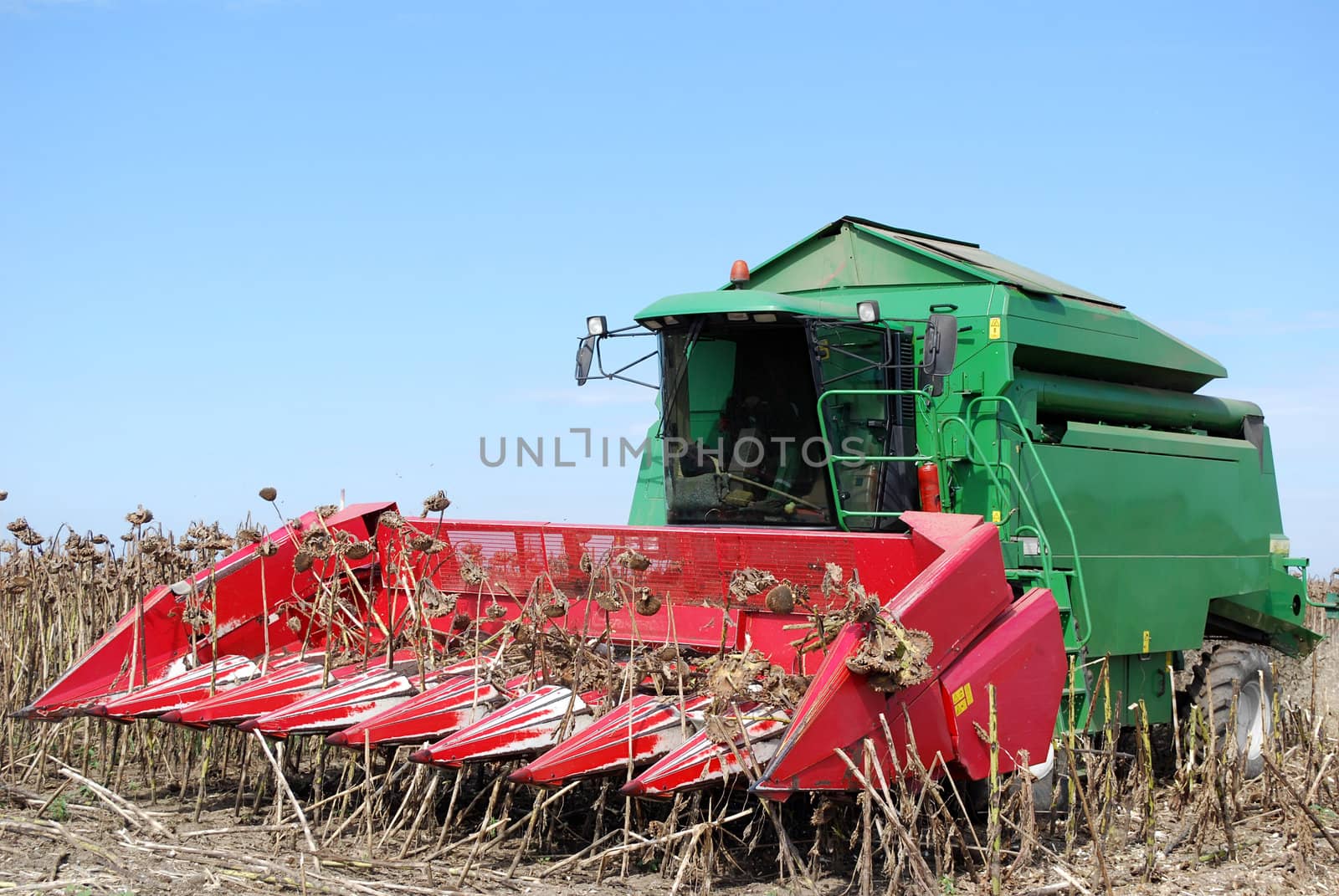 Front view of combine on sunflower harvest