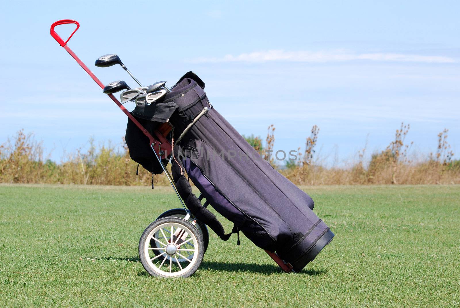 Golf bag with clubs on field