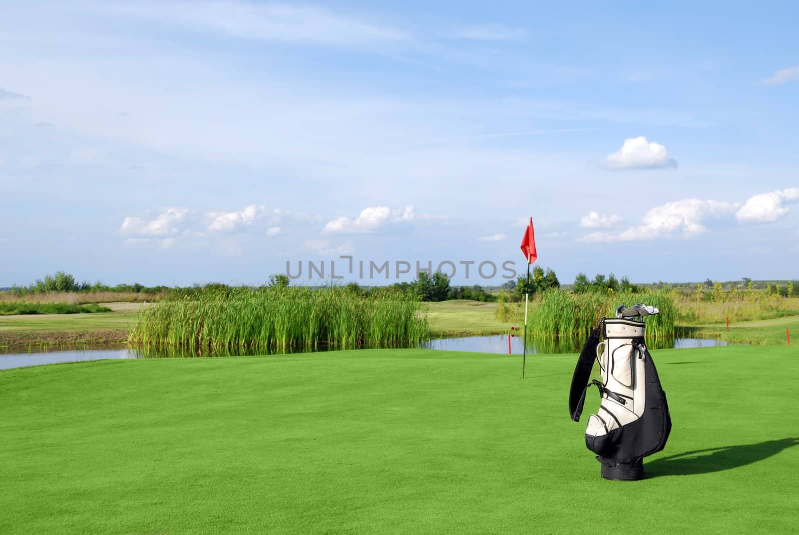 Golf field with flag and golf bag