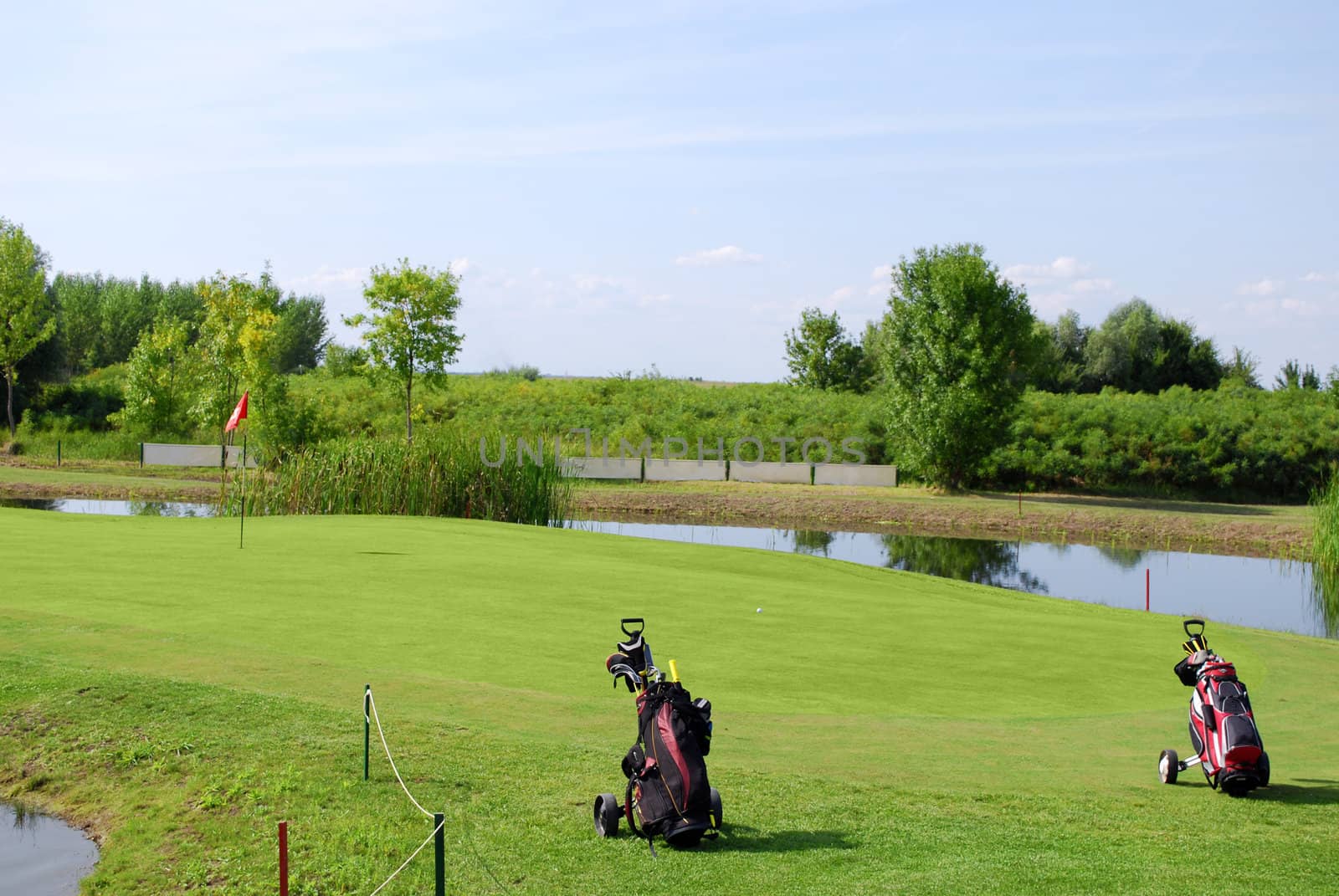 Golf field with two golf bag