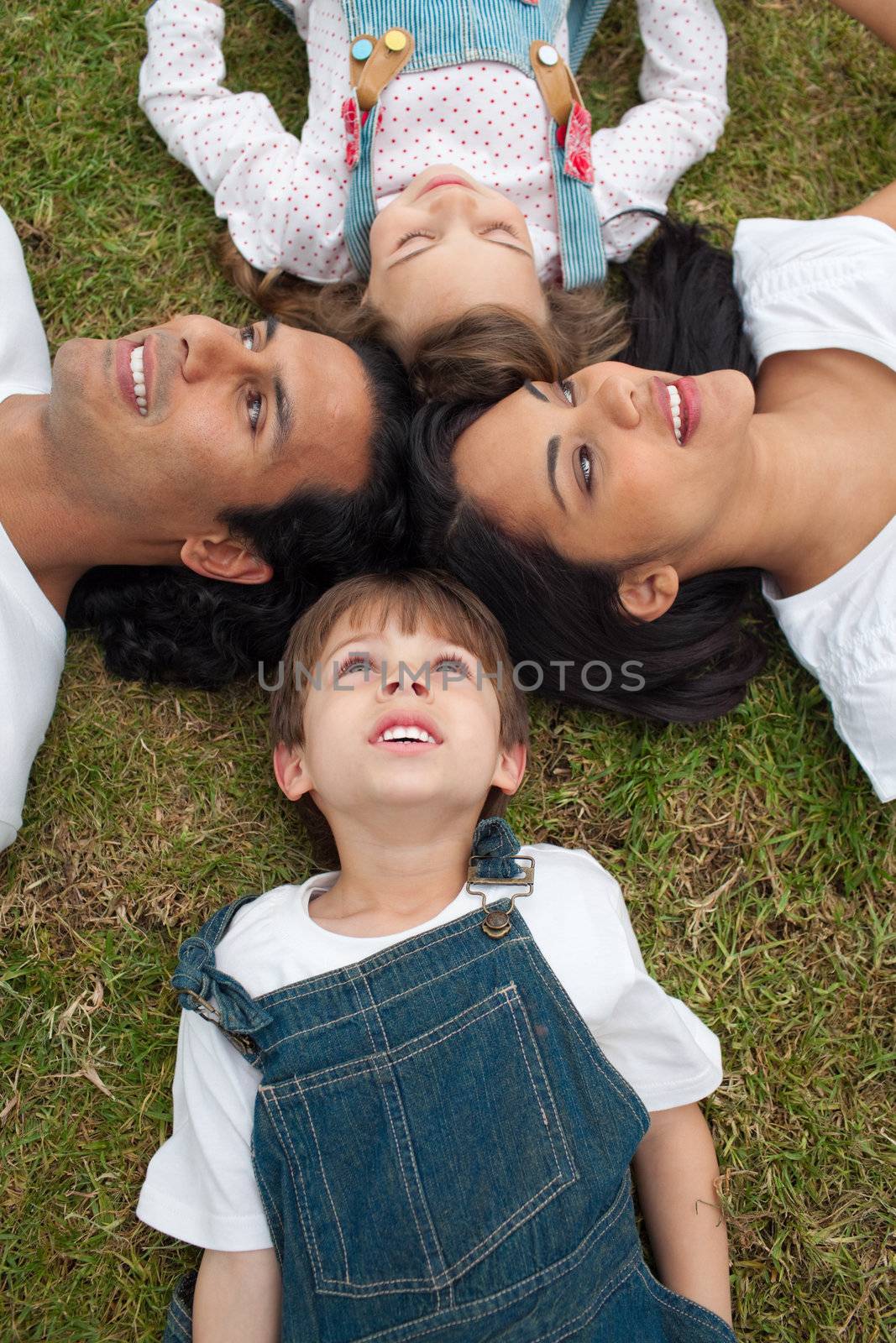 Lively family lying in a circle on the grass in a park