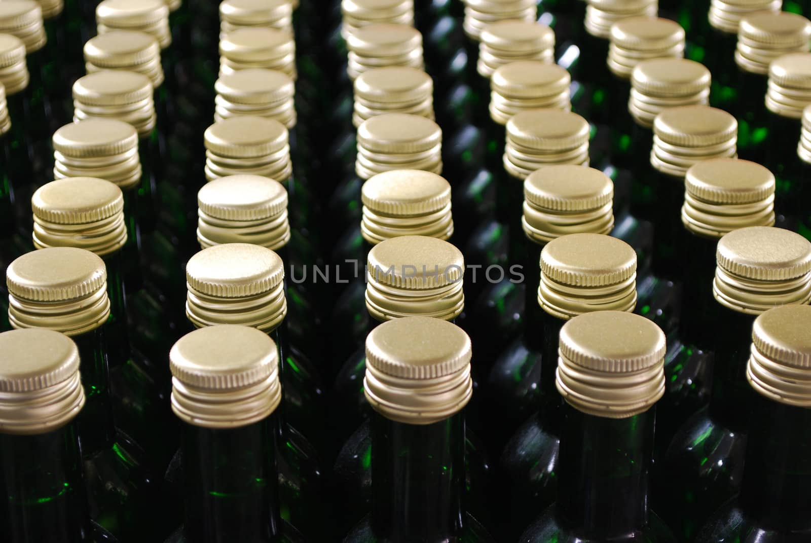 Cellar with wine bottles close detail