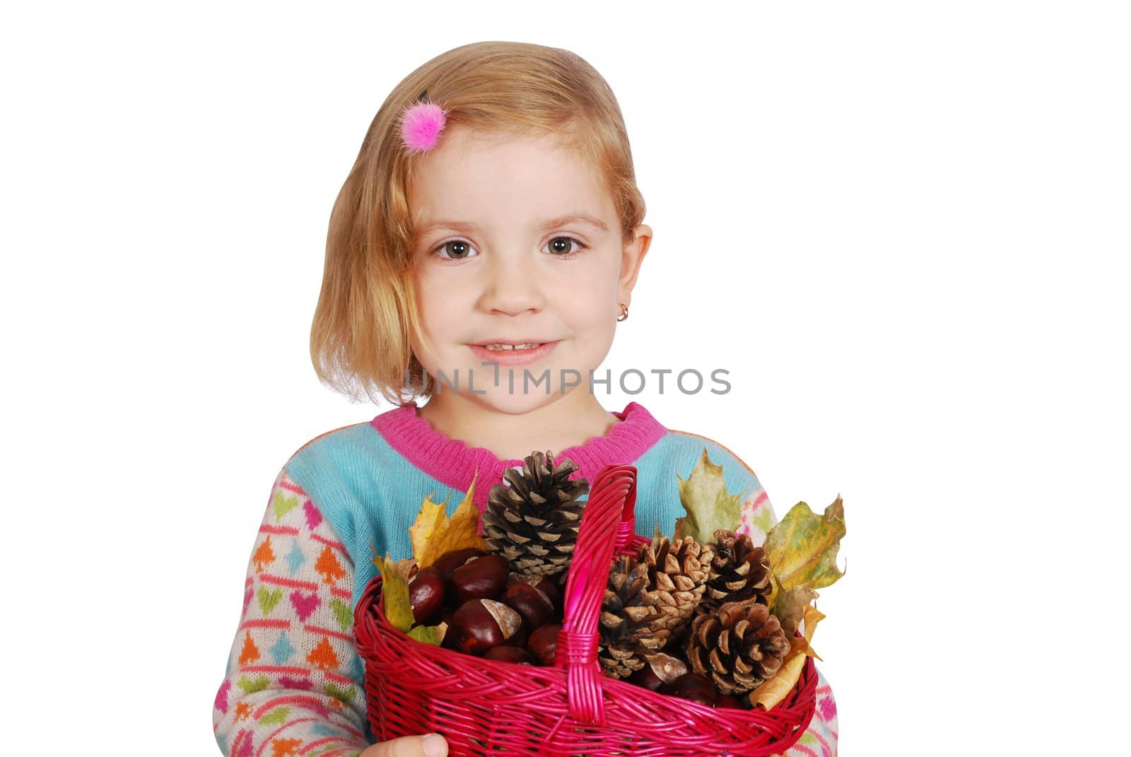 Little girl holding basket with chestnut and pine-cone