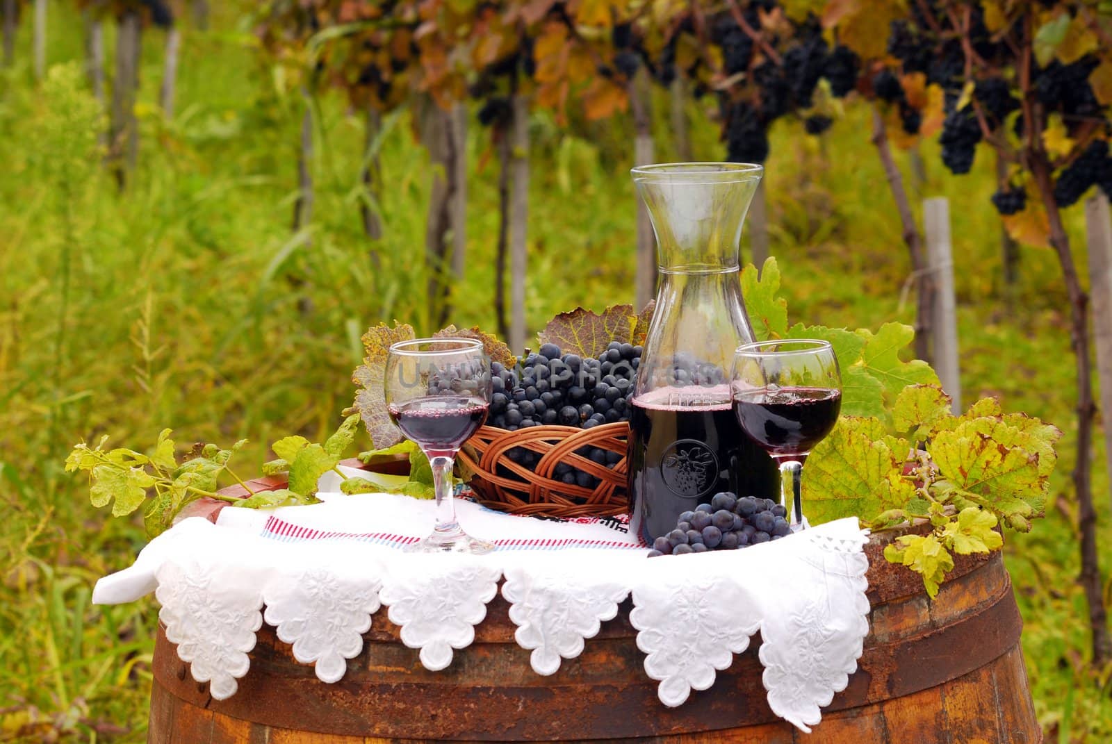 Vineyard with grape and red wine