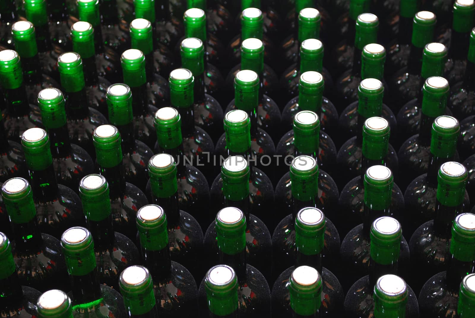 Cellar with red wine bottles