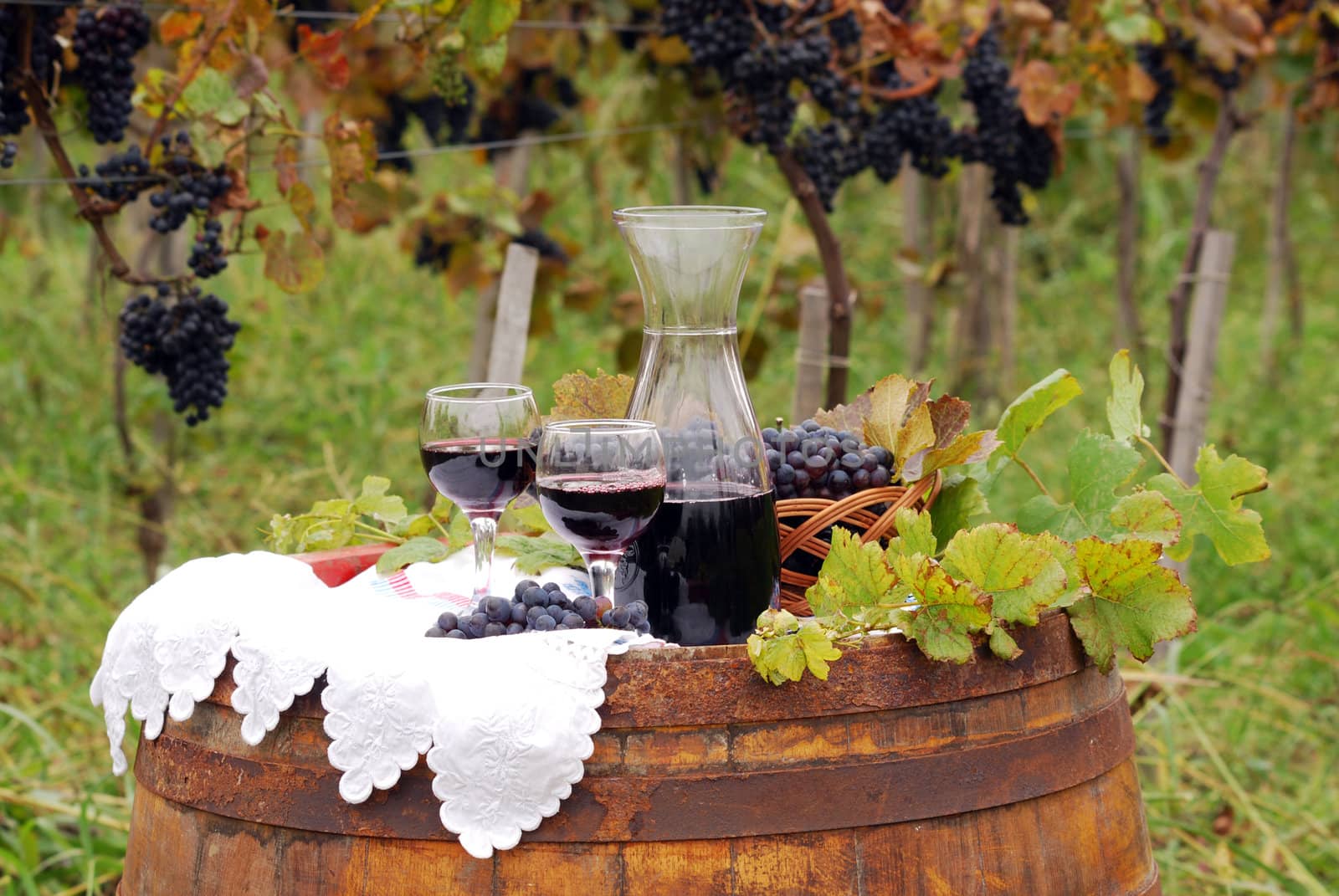 Autumn scene with red wine and grape