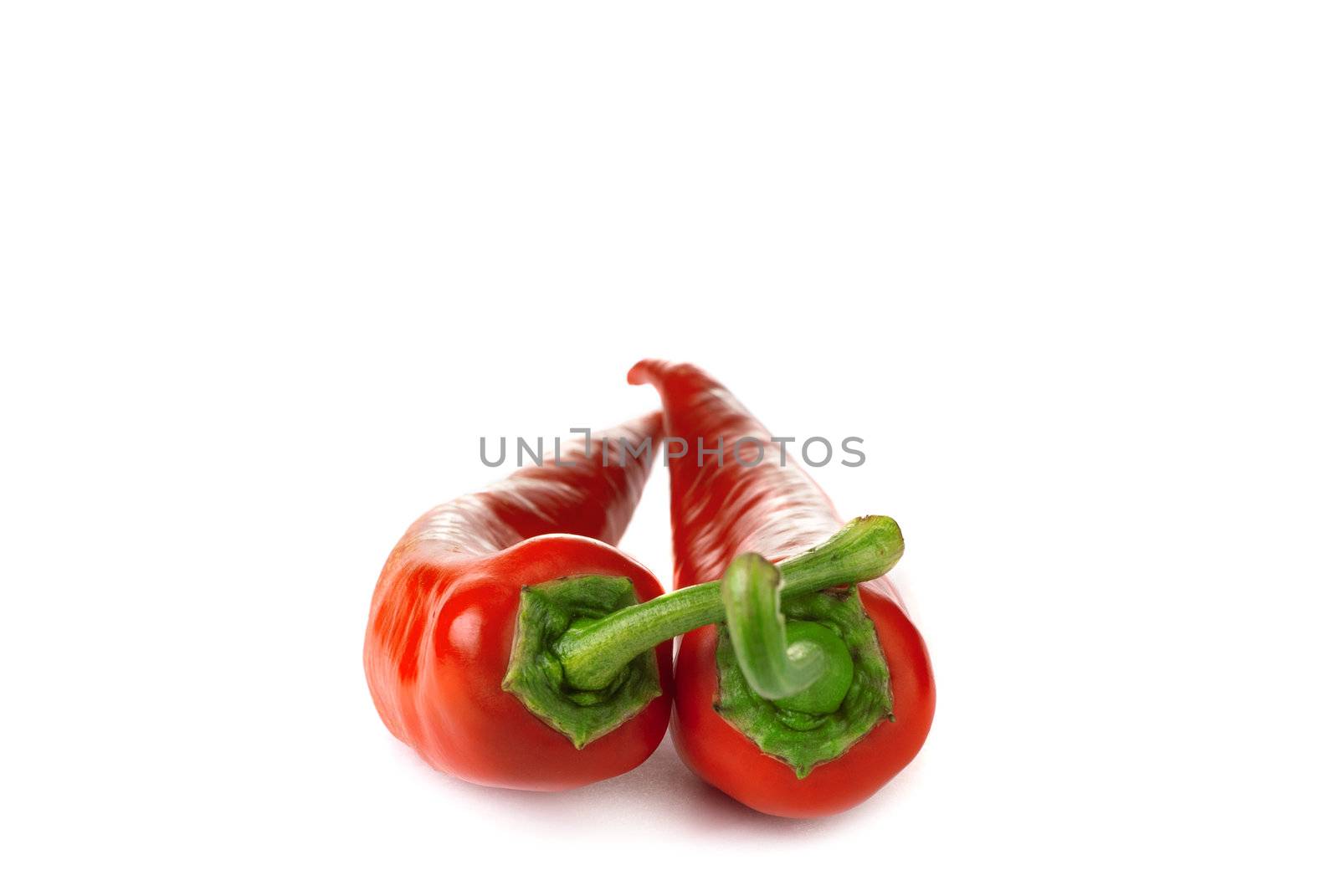 Two red chili peppers isolated on a white background