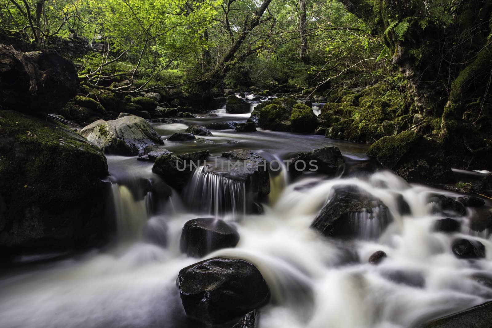 Long exposure with silky water of Aira Beck, Lake District, England flowing through woodland