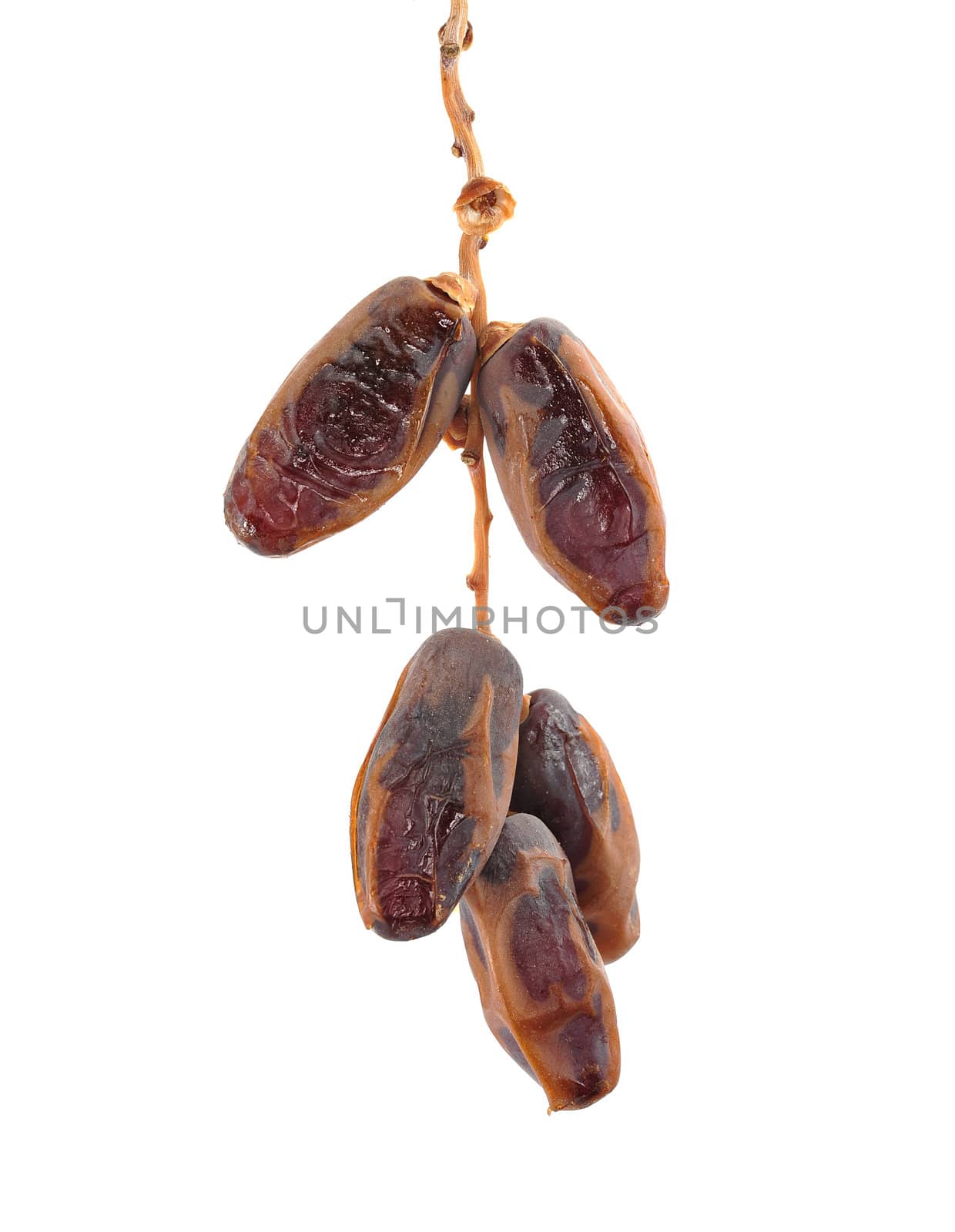 Medjool dates