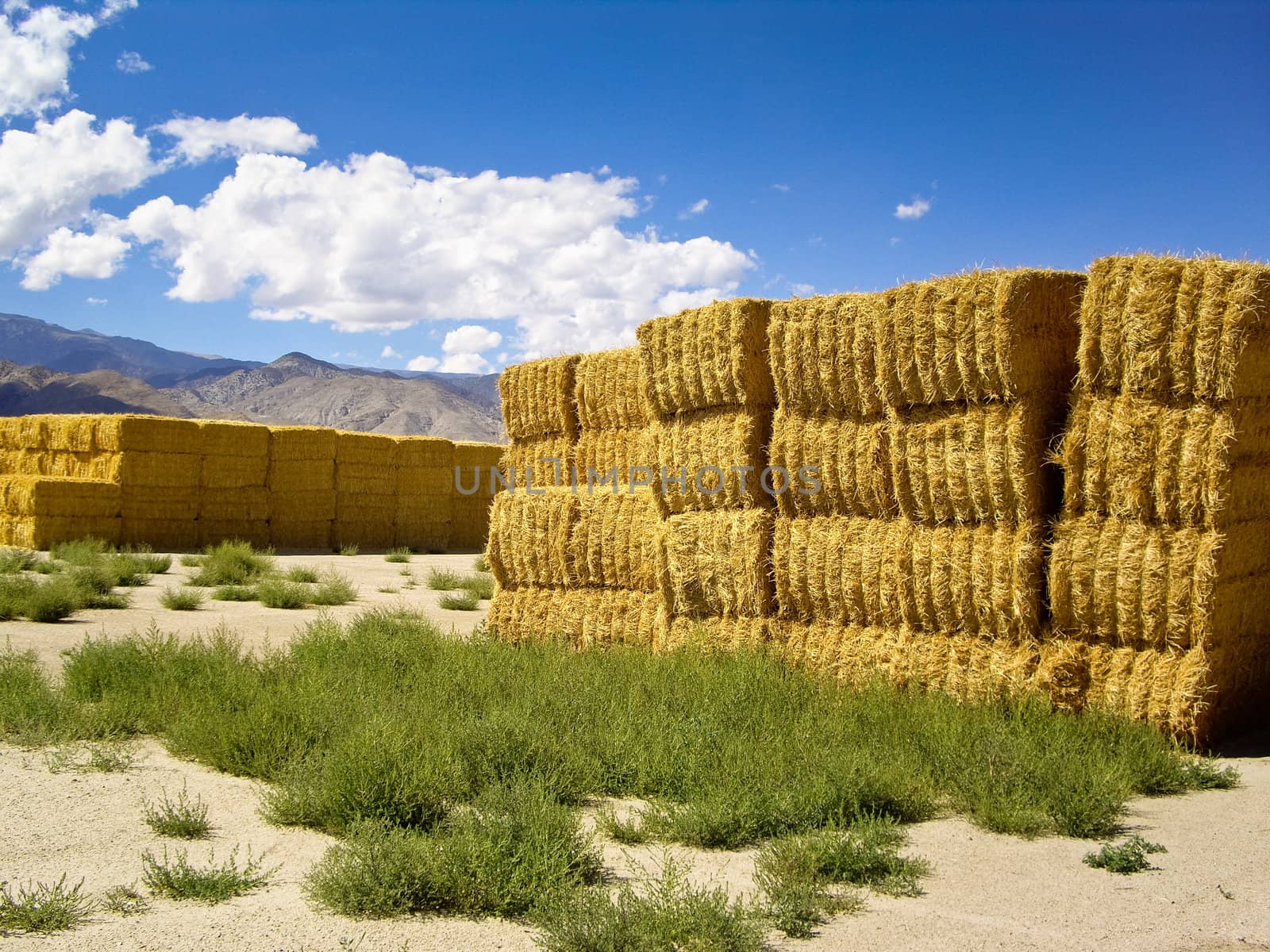 Haystacks in high desert of California USA