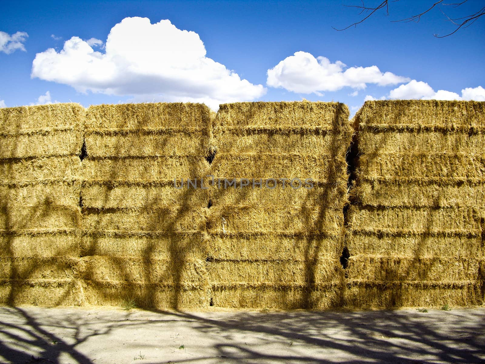 Hay bales dry in the sunlight
