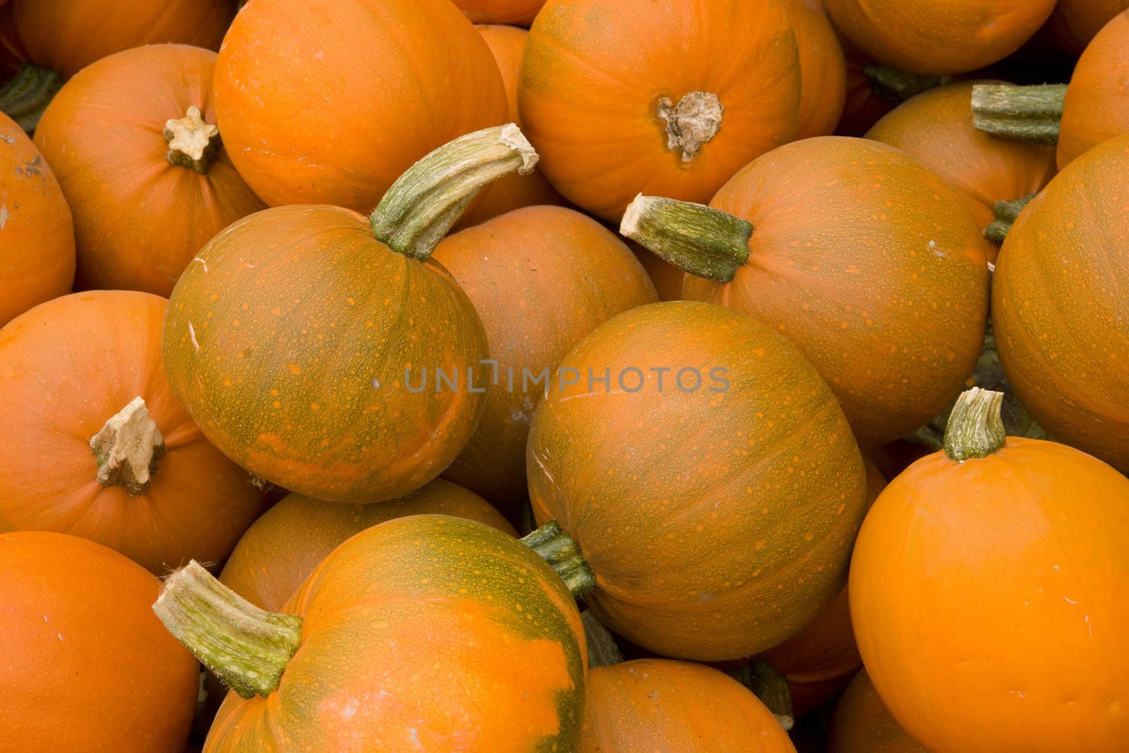Pumpkins by ChrisBoswell