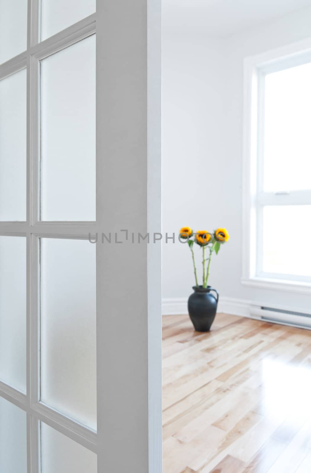 Opened door leading into a contemporary room full of light, decorated with flowers.