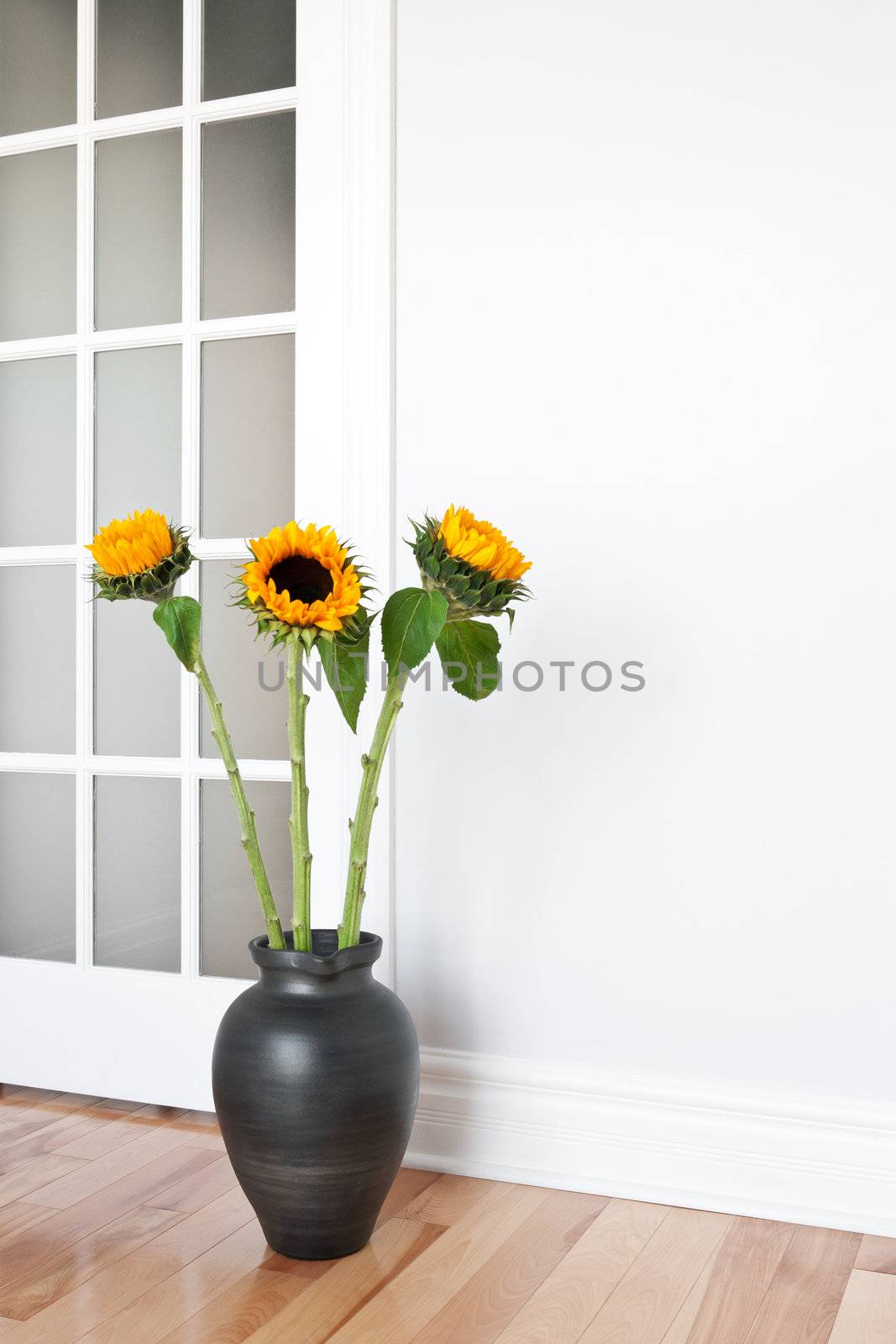 Bright sunflowers decorating a contemporary room.