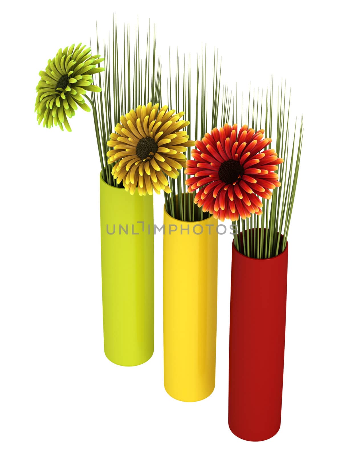 Three ornamental gerbera daisies in red, yellow and green with matching cylindrical containers, isolated on white