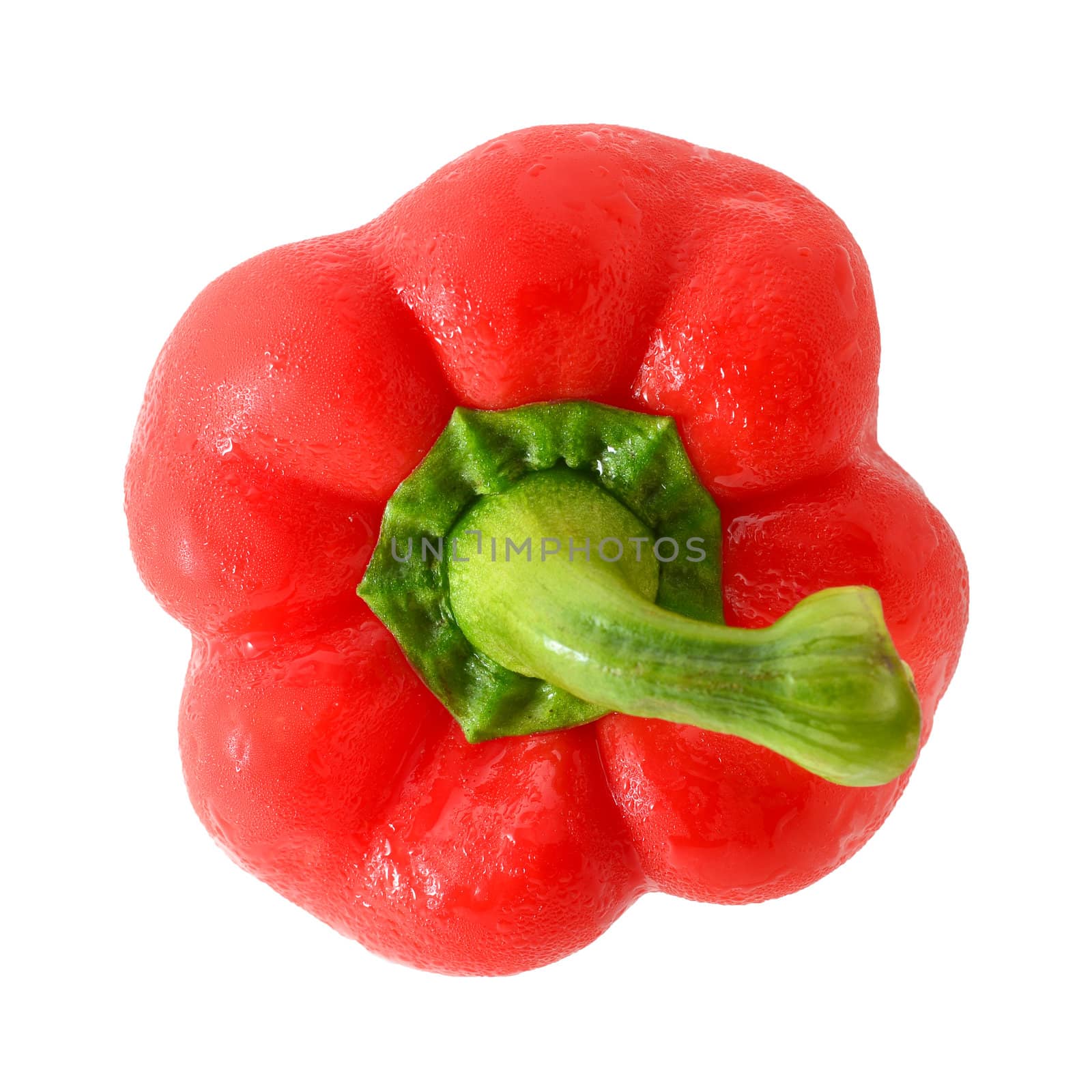 Red Pepper isolated with clipping path