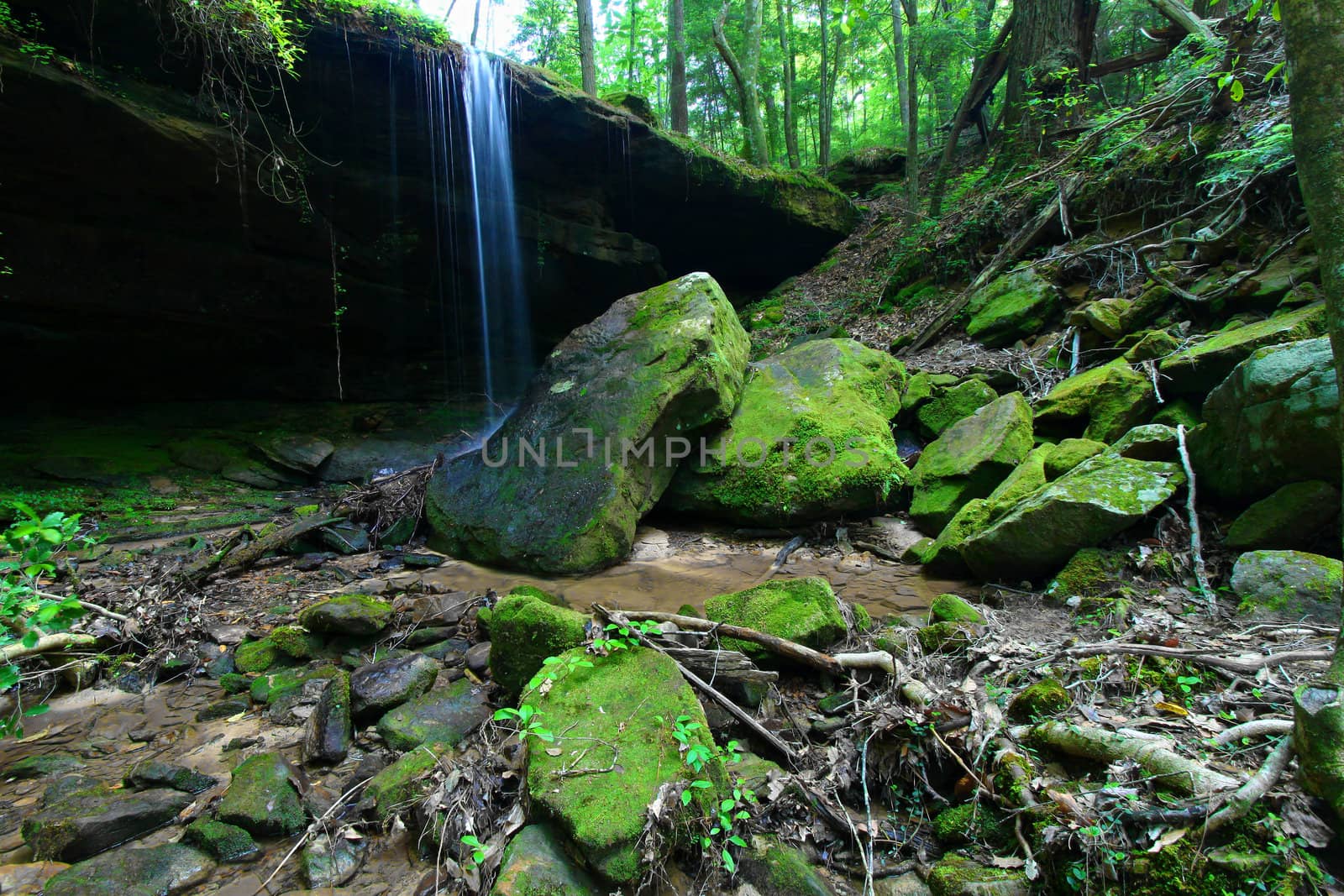 Secluded waterfall flows over a rock ledge in the William B Bankhead National Forest of Alabama.