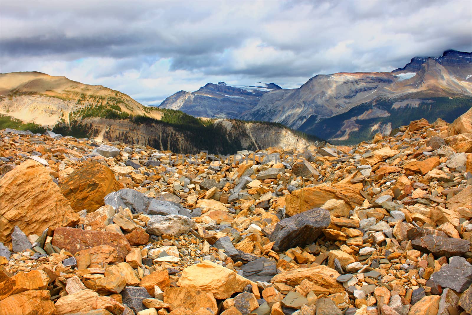 Rocks exposed from receding glaciers of Yoho National Park in Canada.