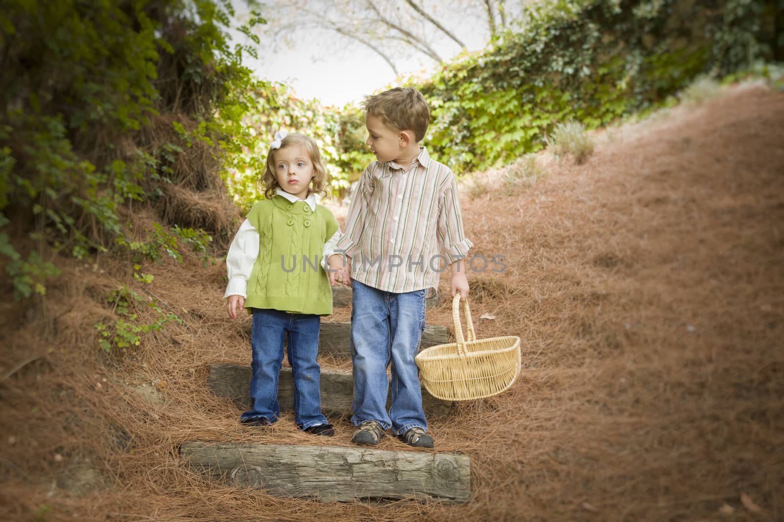 Adorable Brother and Sister Children Holding Hands Walking Down Wood Steps with Basket Outside.