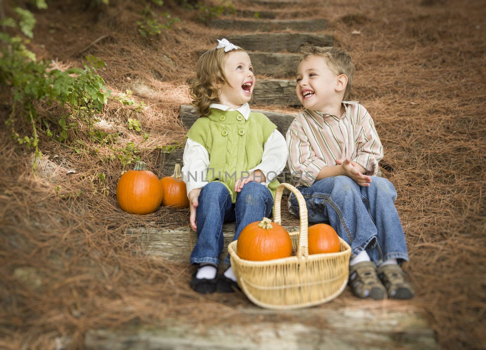 Brother and Sister Children Sitting on Wood Steps with Pumpkins by Feverpitched