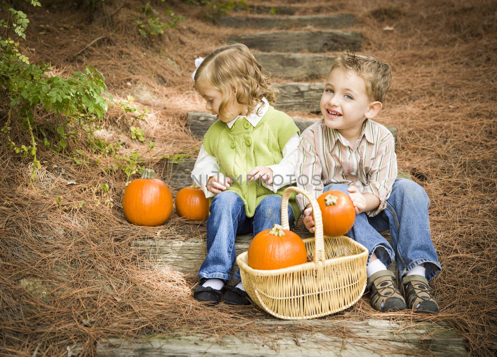 Brother and Sister Children Sitting on Wood Steps with Pumpkins by Feverpitched