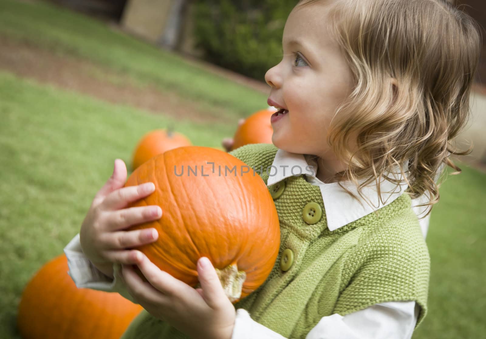 Adorable Young Child Girl Enjoying the Pumpkins at the Pumpkin Patch.