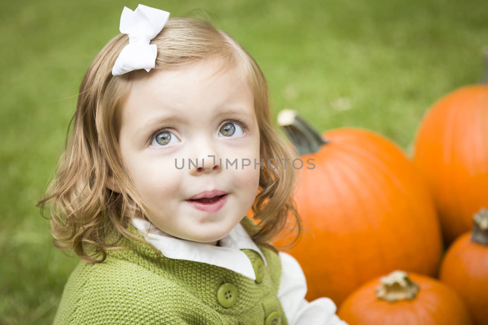 Adorable Young Child Girl Enjoying the Pumpkins at the Pumpkin Patch.