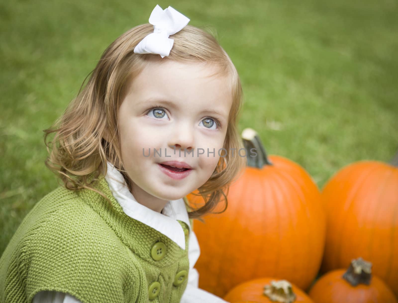 Adorable Young Child Girl Enjoying the Pumpkins at the Pumpkin Patch.