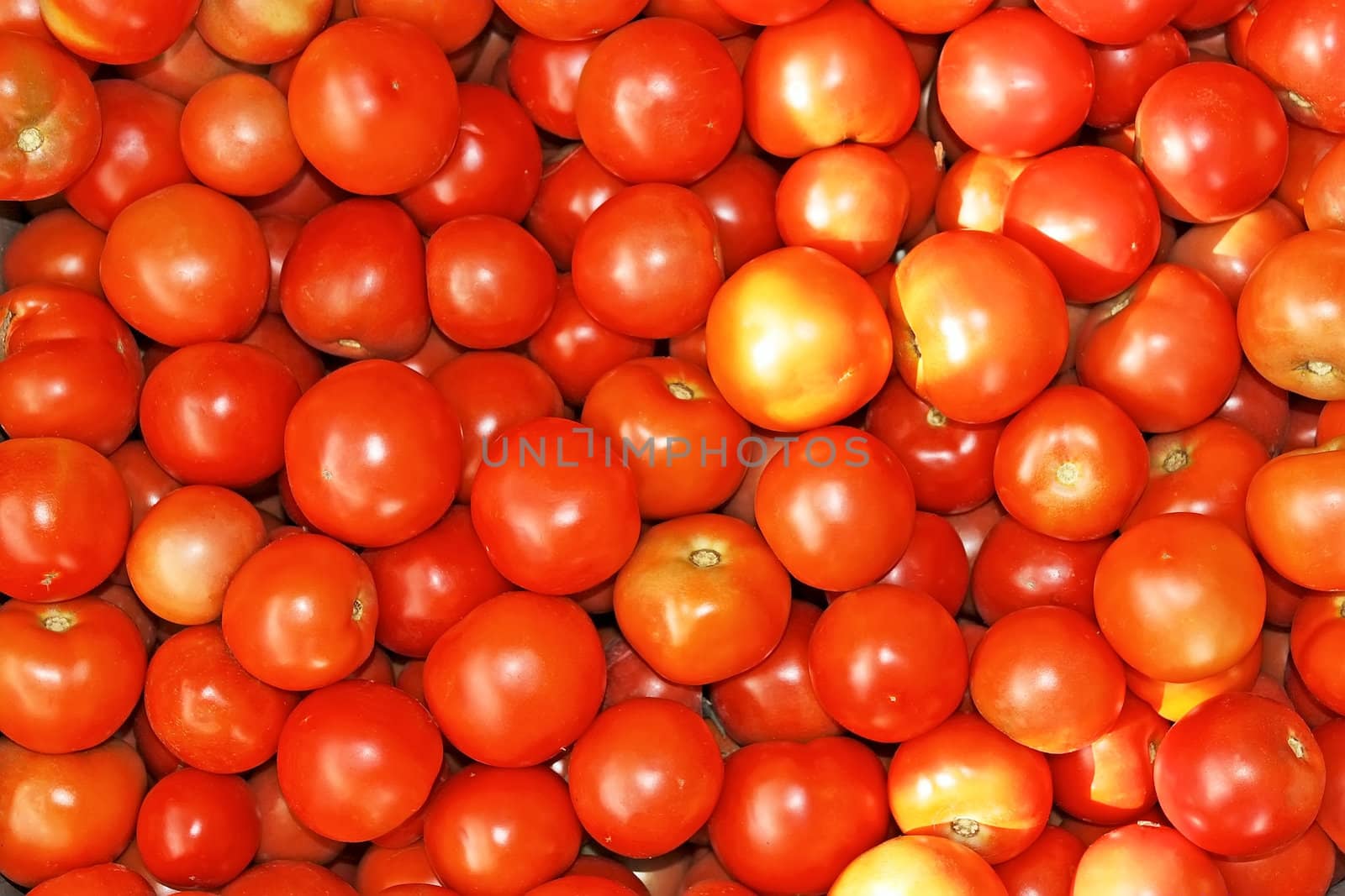 Many ripe red tomatoes on the heap as a background