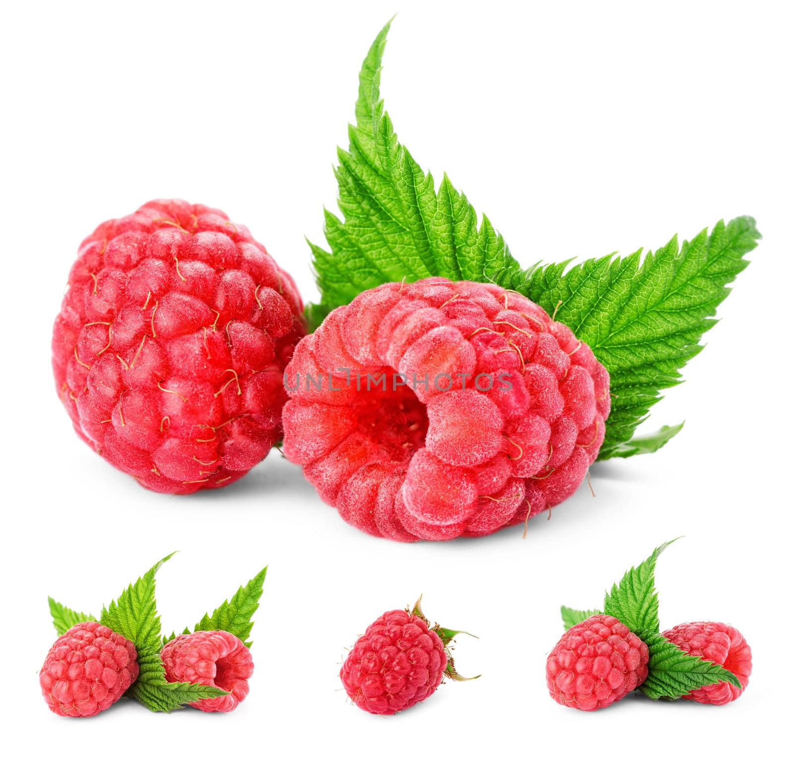 Raspberry fruit. Set.