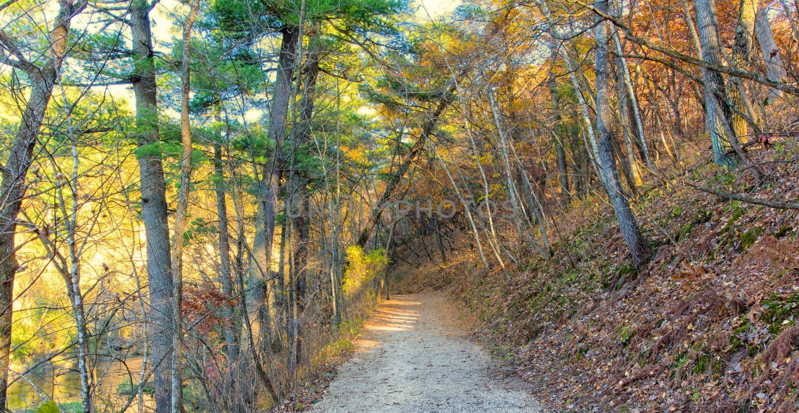 Beauitful Autumn Path by wolterk