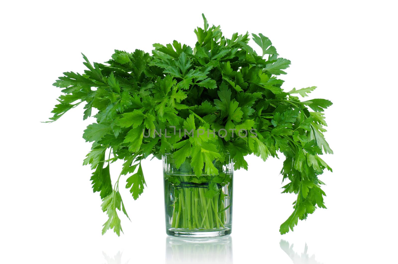 Fresh green leaves of parsley on white background