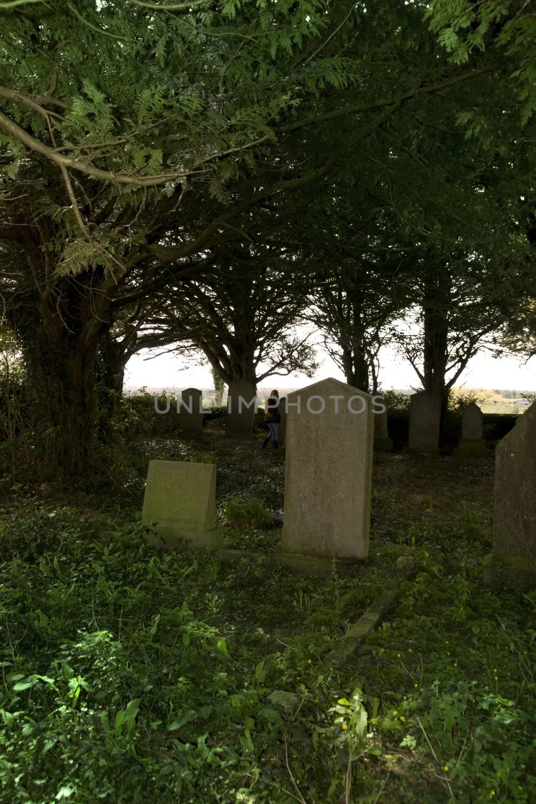 lone woman searching in a graveyard by morrbyte