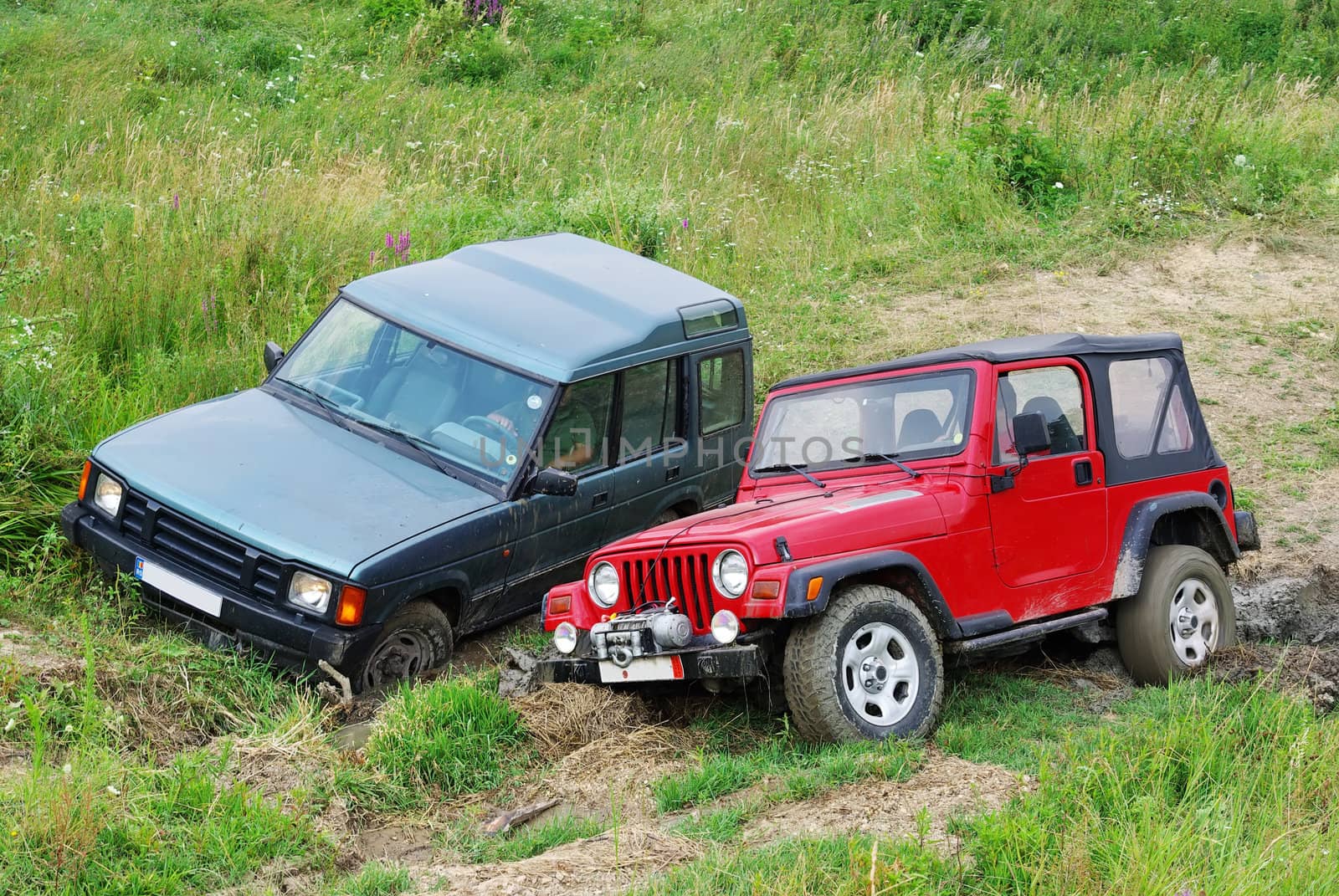 Two off-road cars on meadow