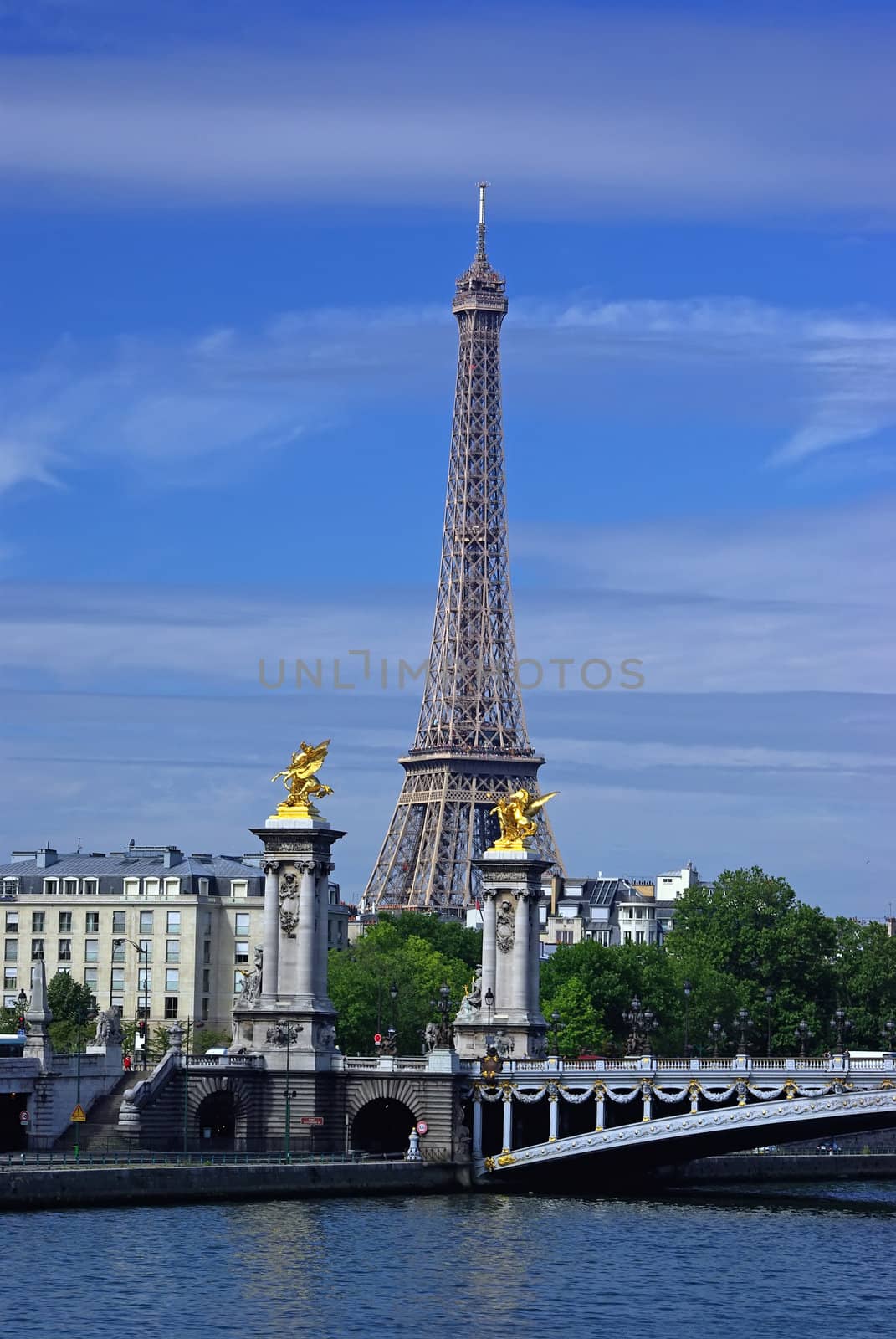 Eiffel Tower in Paris, Seine landscape