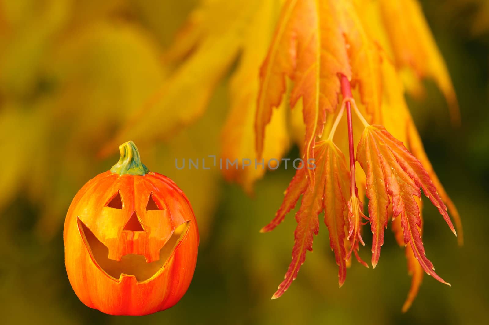 Halloween decoration with orange leaves