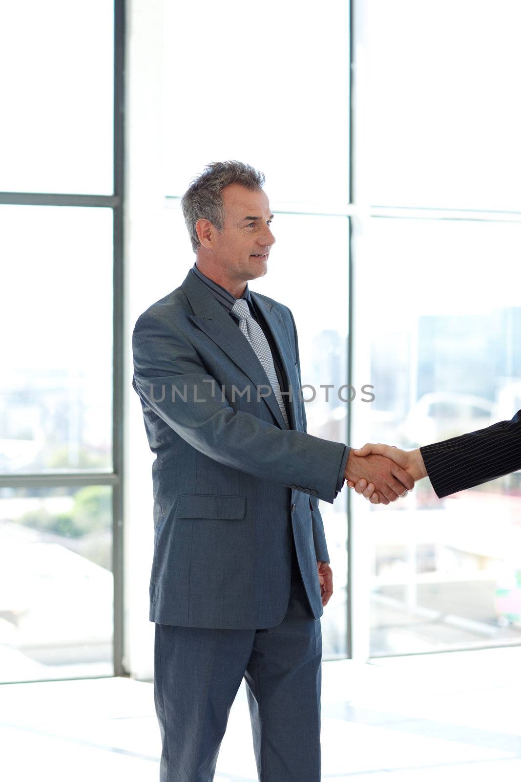 Senior businessman shaking hands in agreement