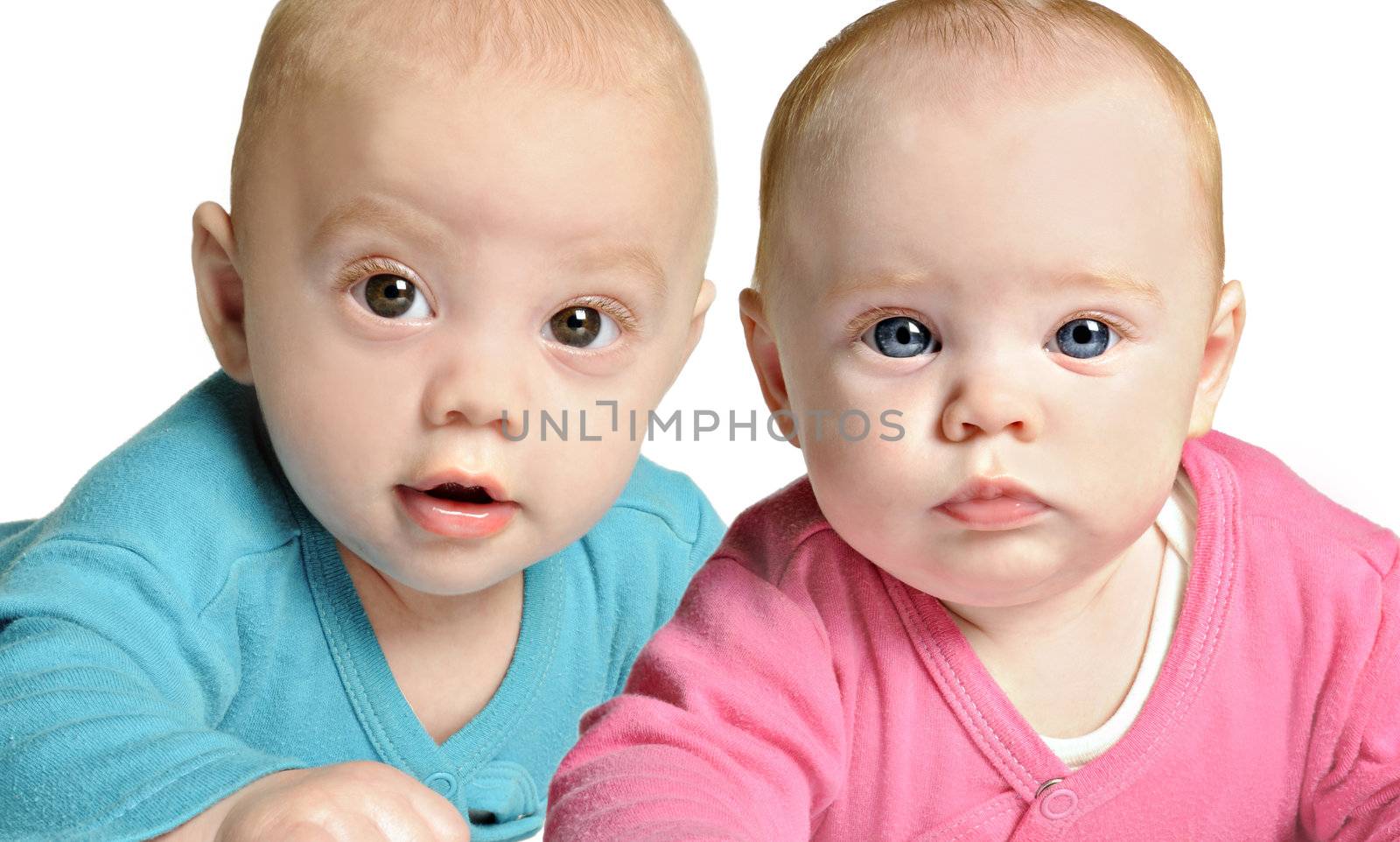 Six month old twin brother and sister on white