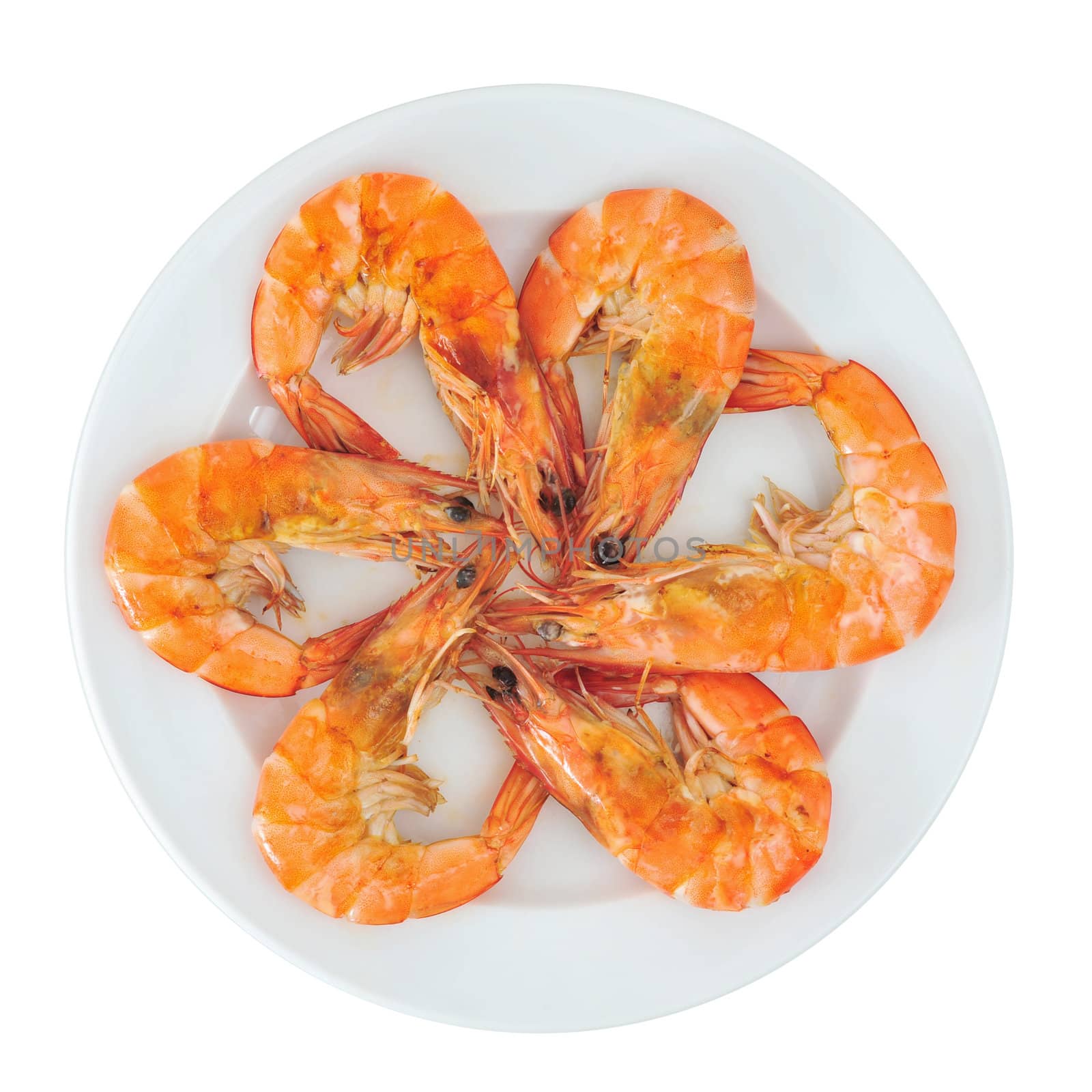 Shrimp with clipping path