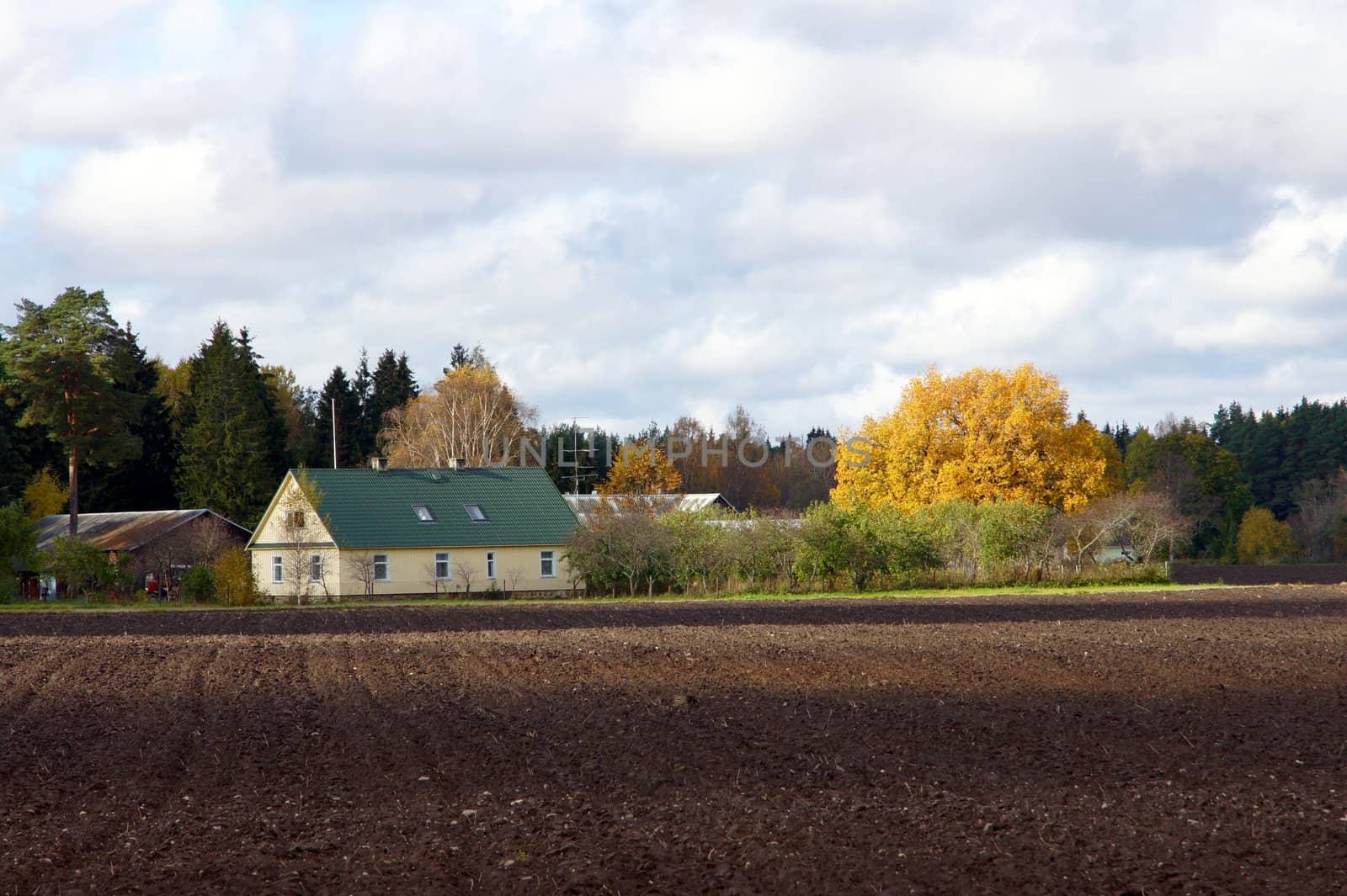 The opened field after harvesting in a countryside