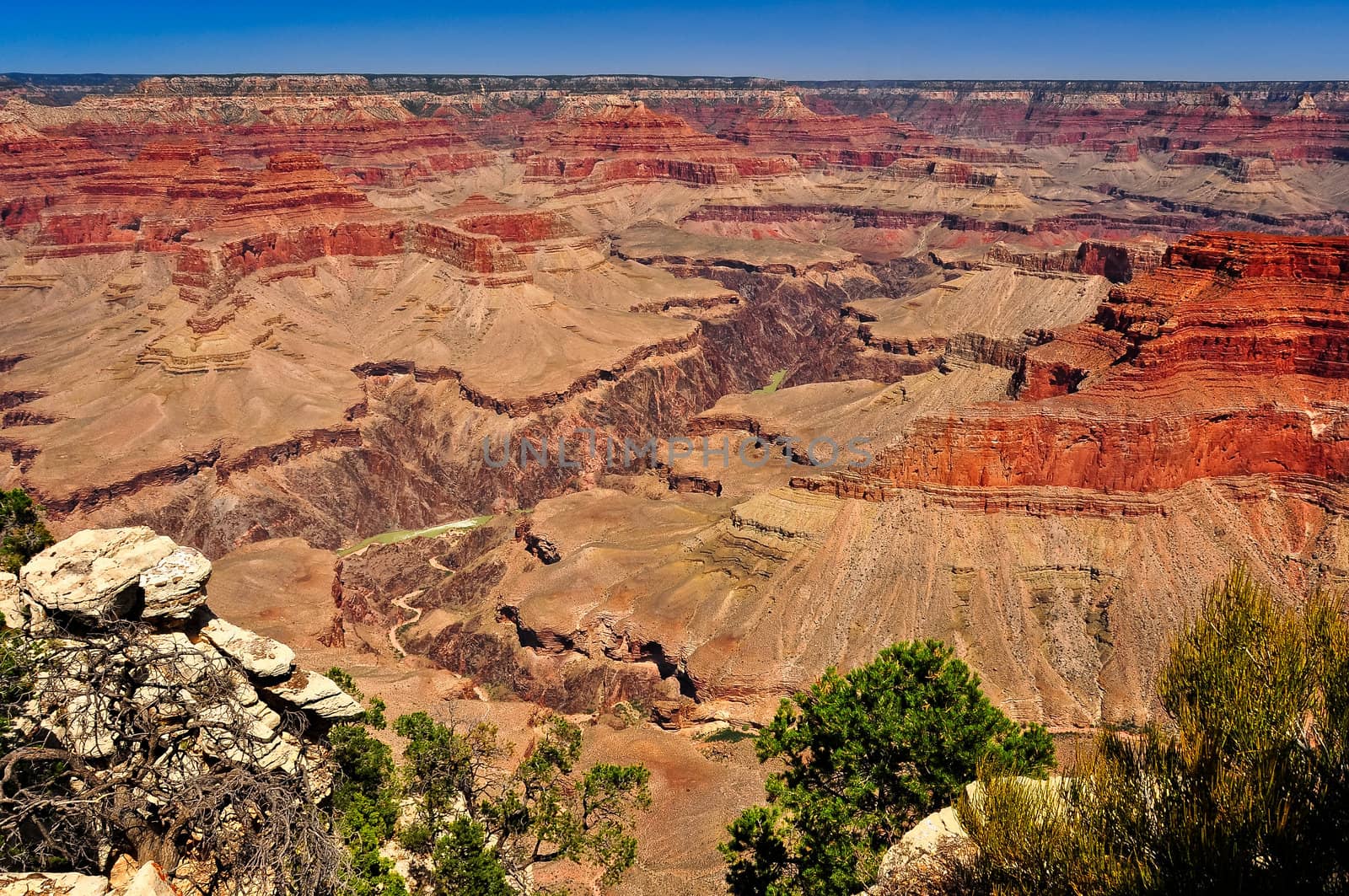 Grand canyon national park landscape view by martinm303