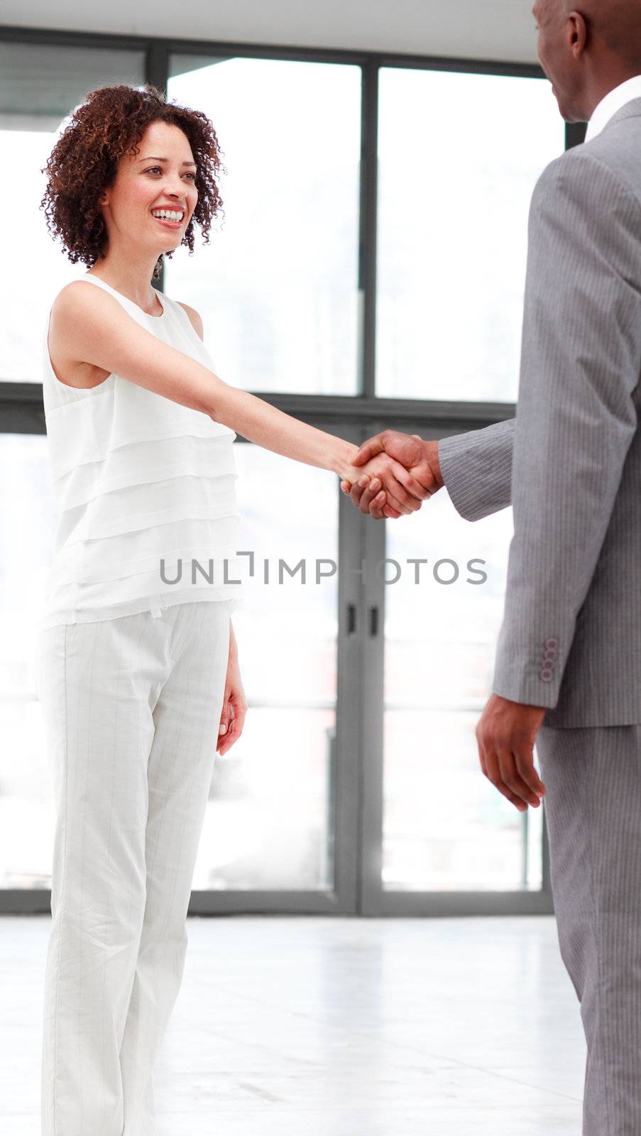 Young business people shaking hands in agreement