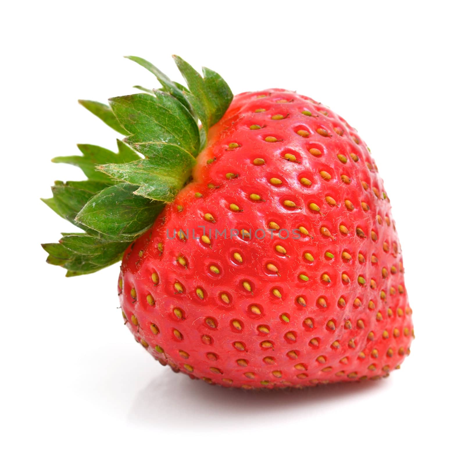 Strawberry by antpkr