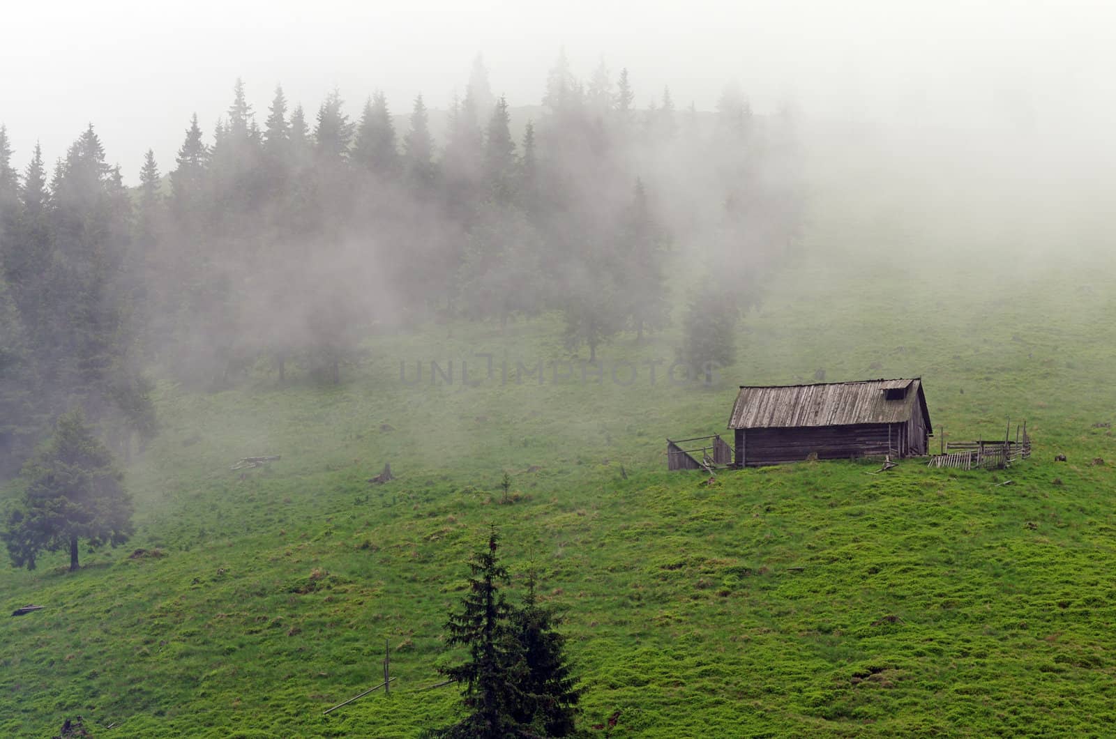 Morning scene with fog on the mountain