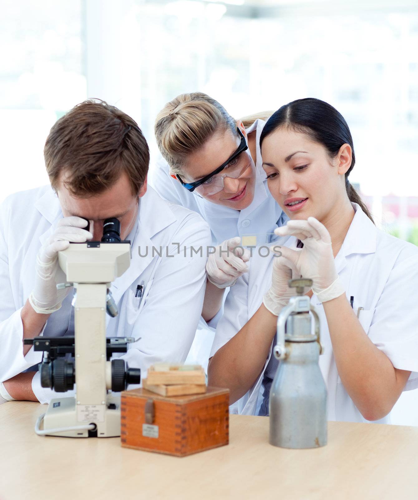 Young people working in a laboratory