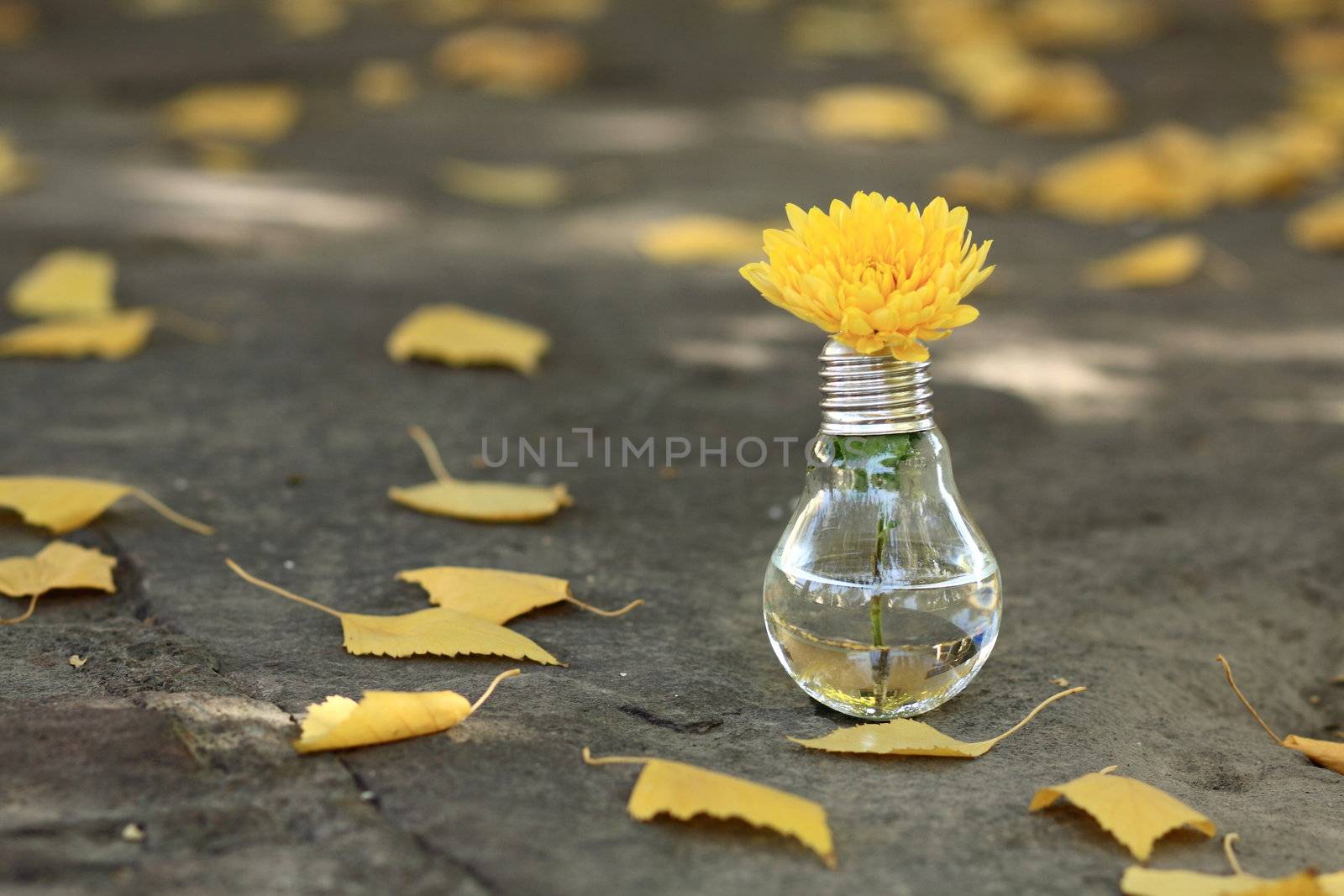 Light bulb with yellow flower by selinsmo