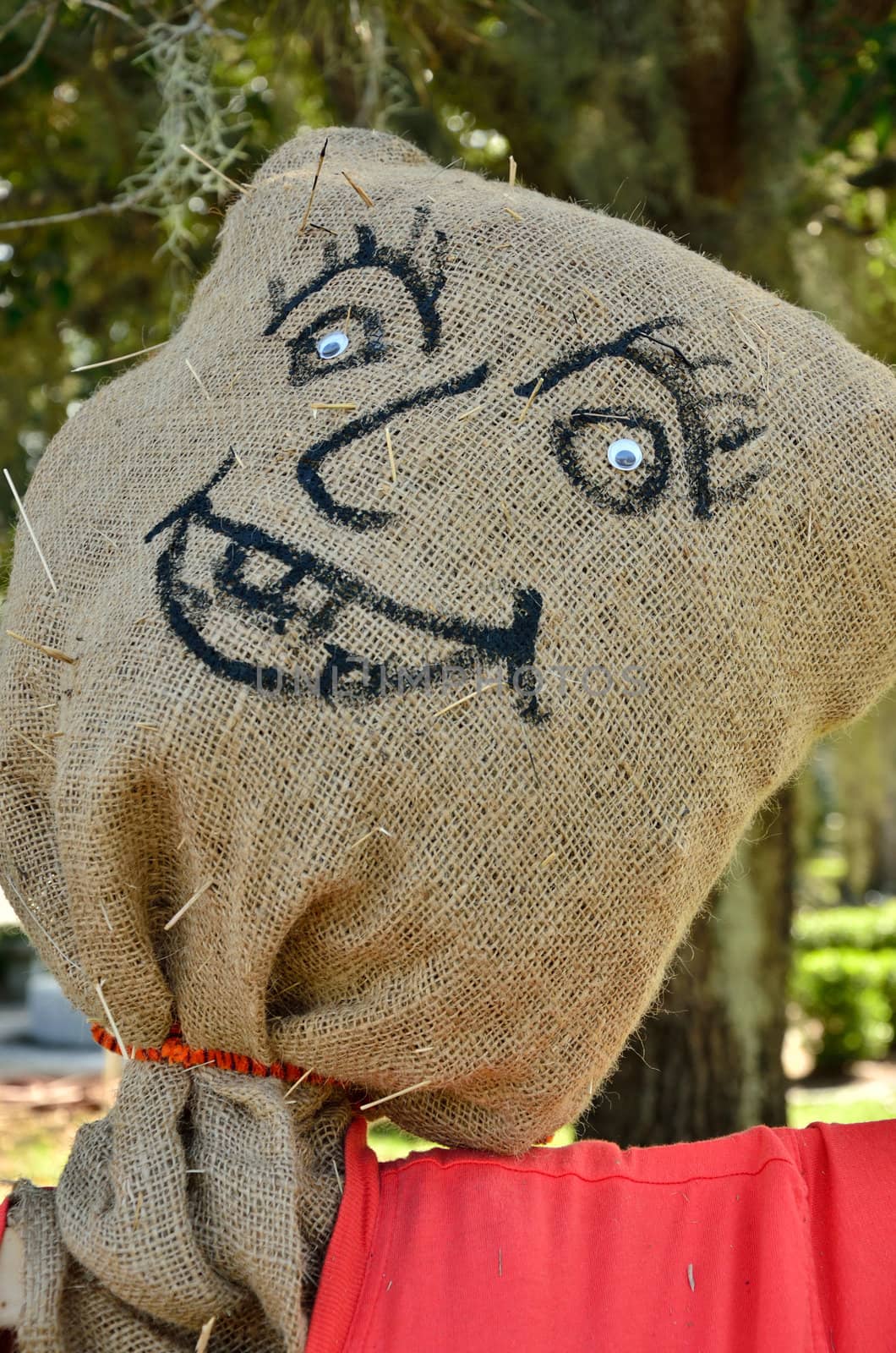 A handdrawn face on a stuffed burlap bag makes the head of a fall scarecrow