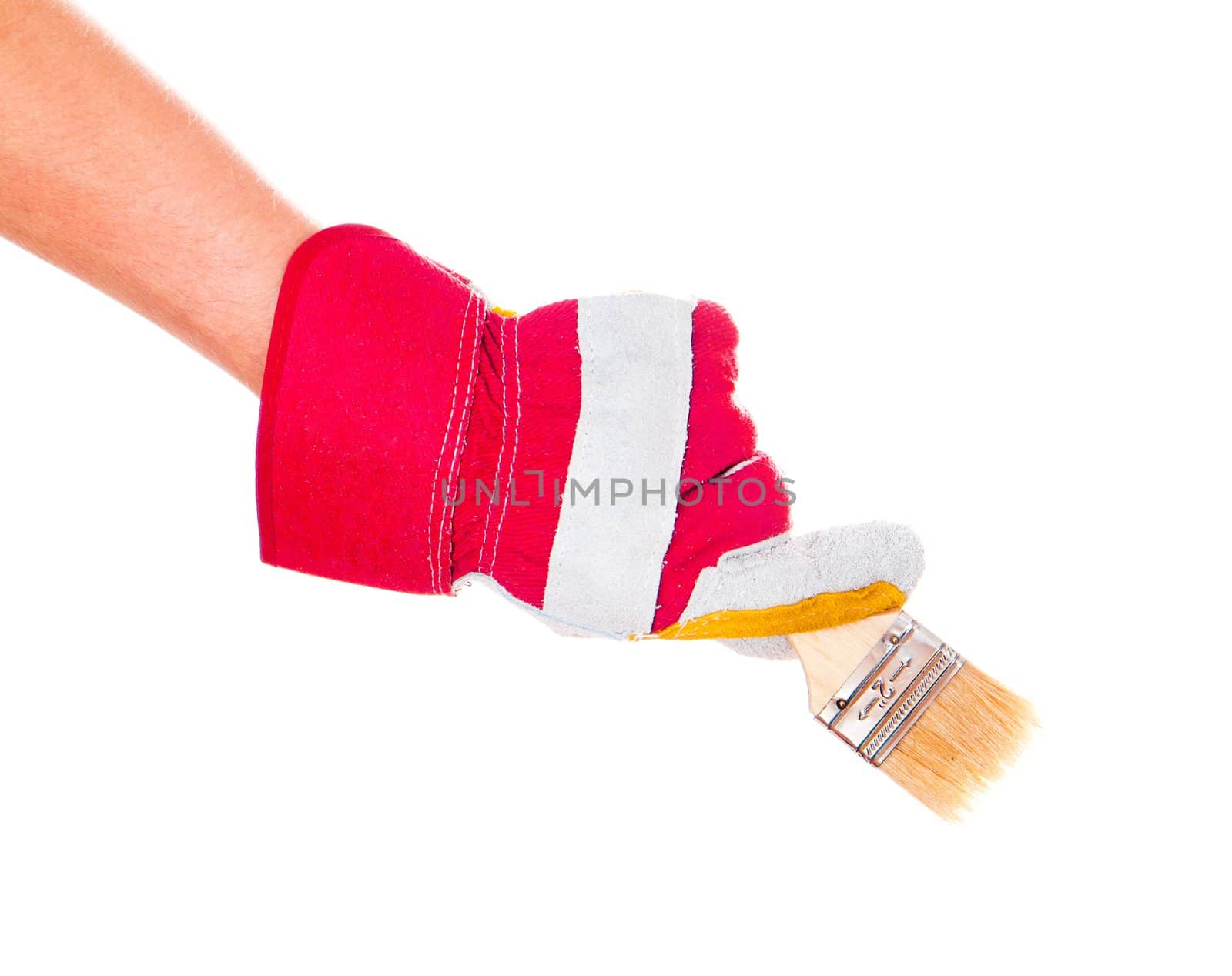 gloved hand with a brush isolated on a white background