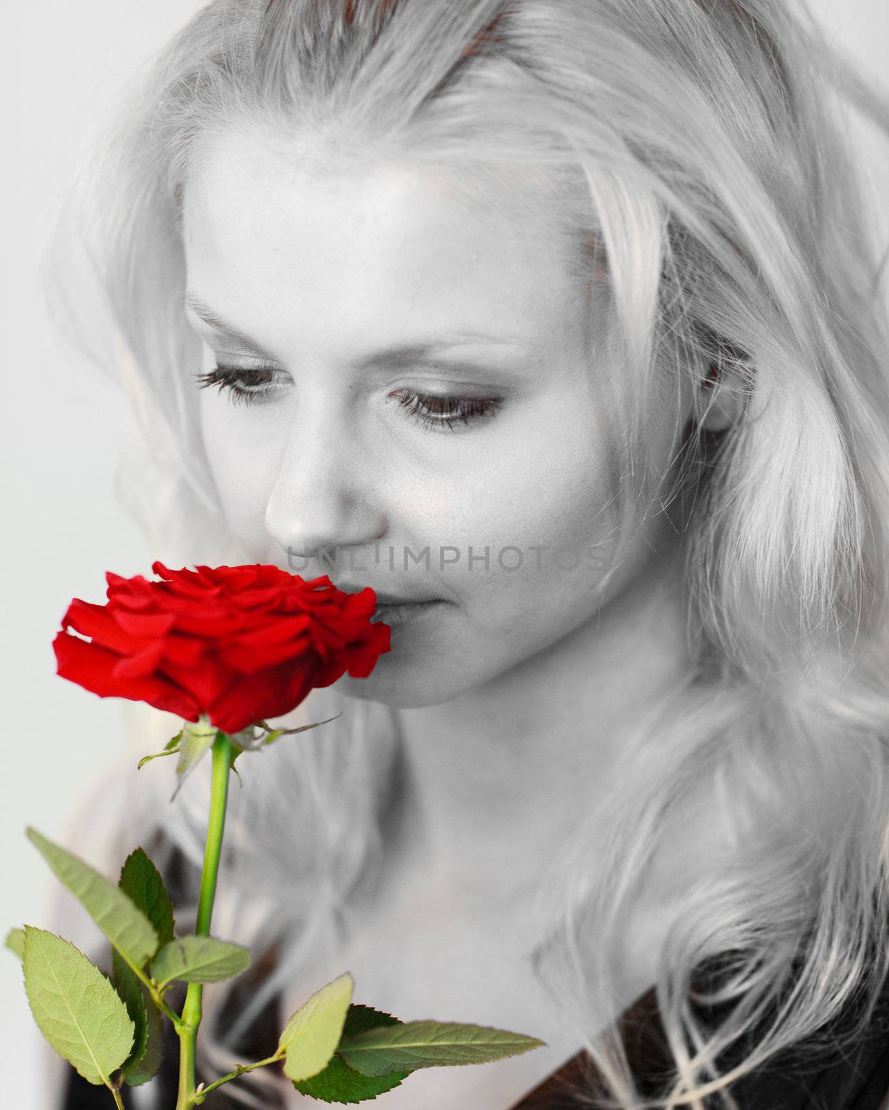 Portrait of an beautiful woman in black and white smelling a red rose 