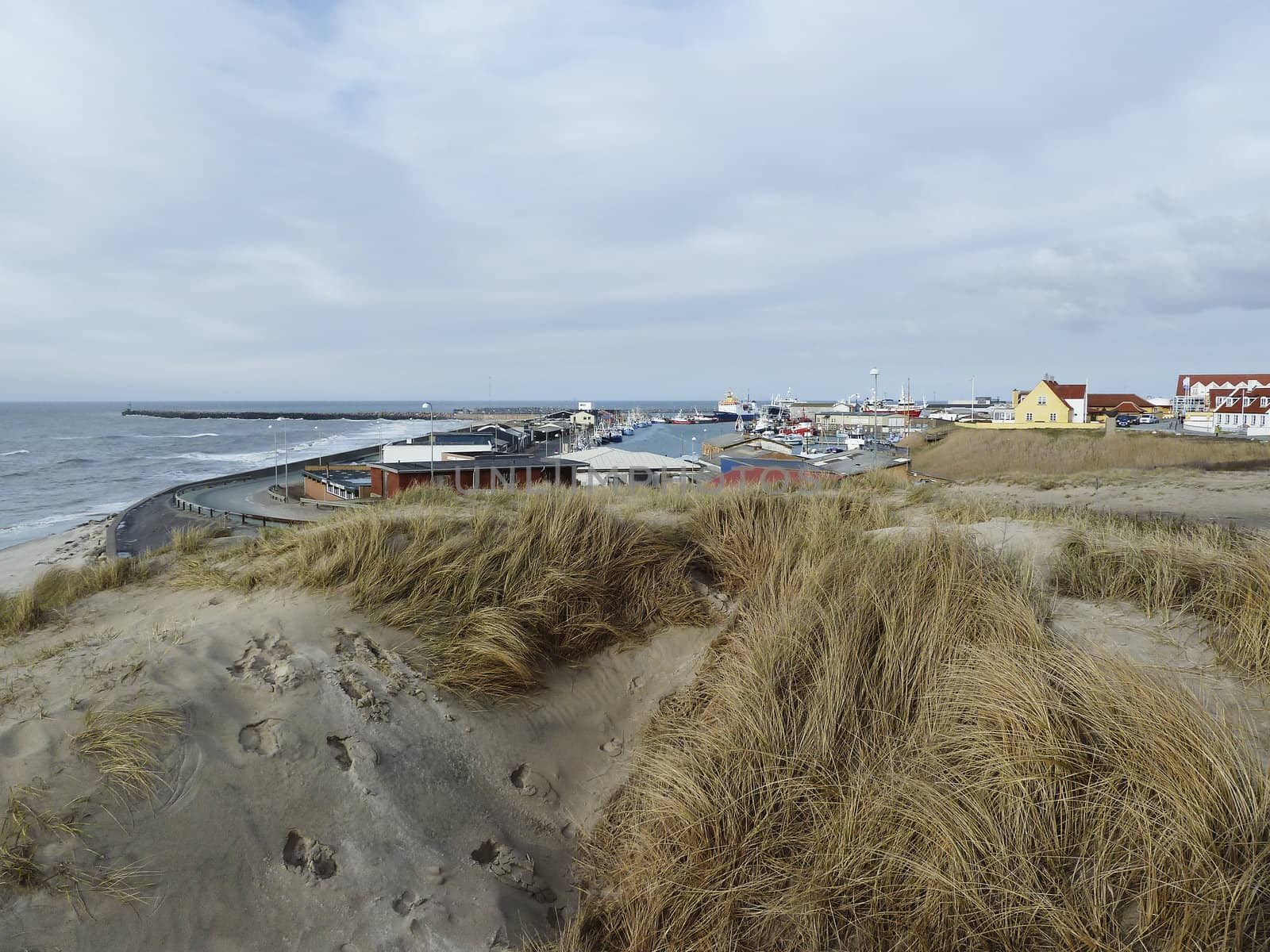 coastline in north Denmark with houses and cloudy sky by gewoldi